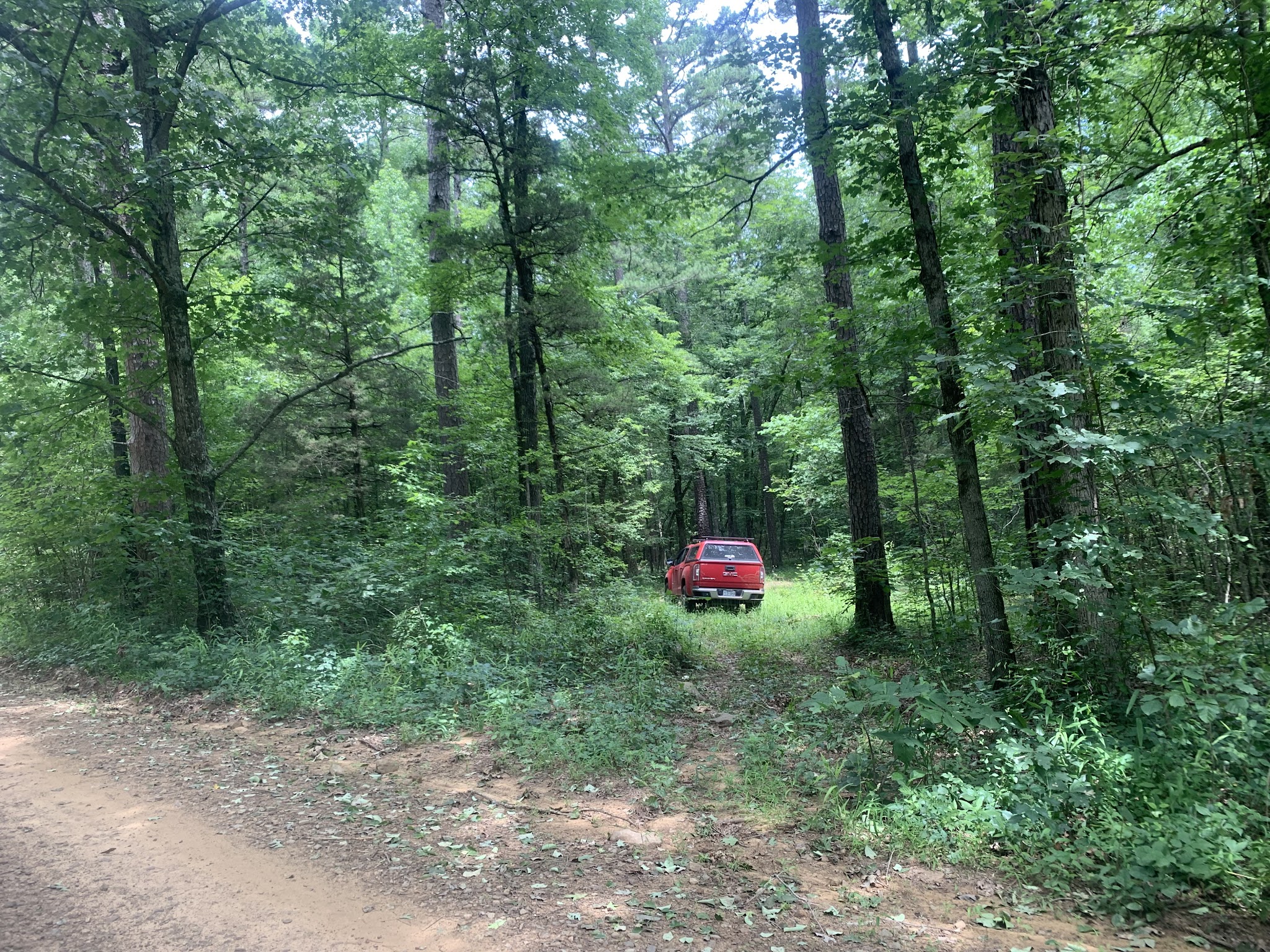 Jack Creek Recreation Area