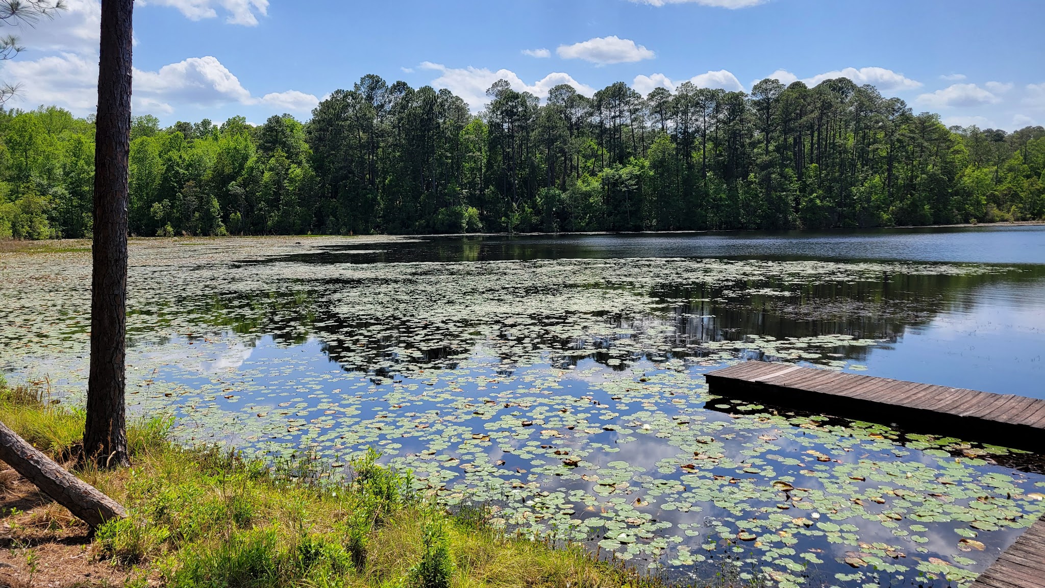 Jack Hill State Park