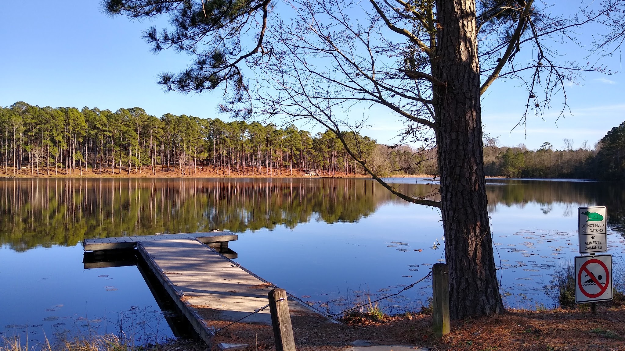 Jack Hill State Park