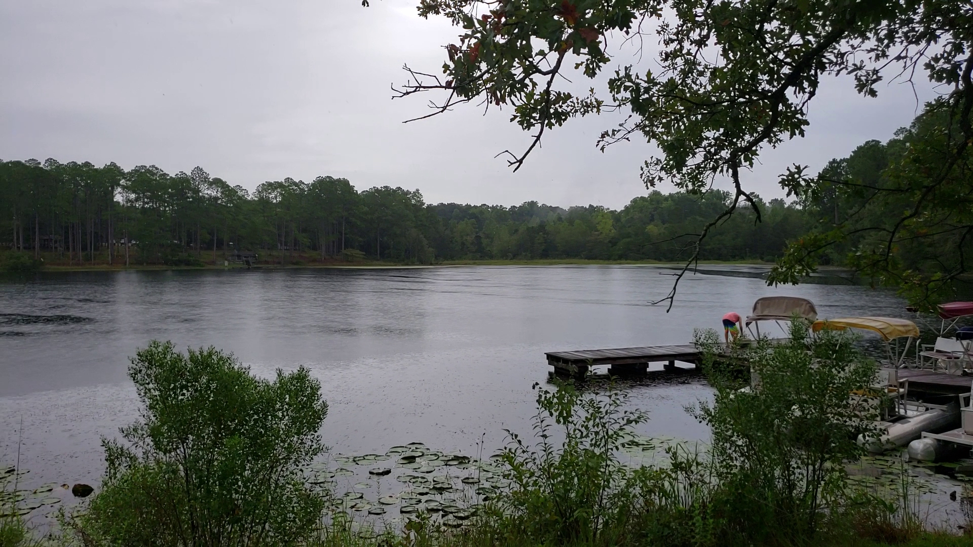 Jack Hill State Park