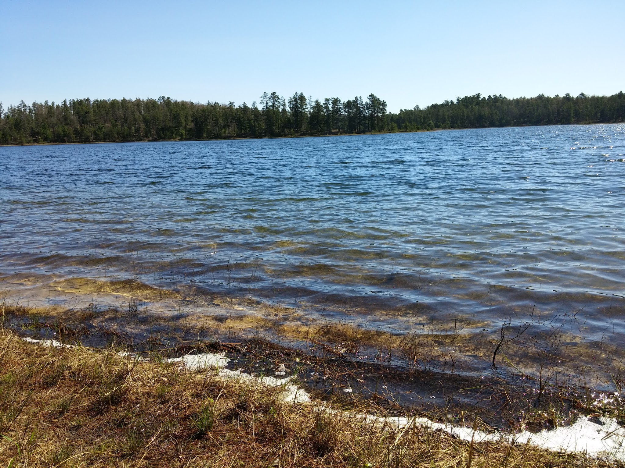 Jackpine Lake Campsites