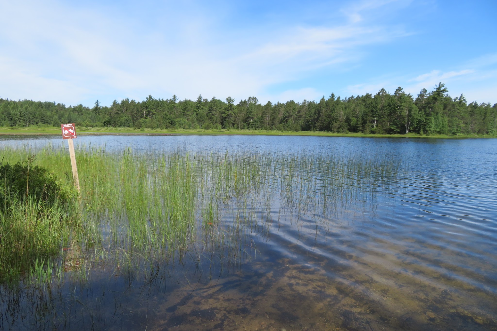 Jackpine Lake Campsites