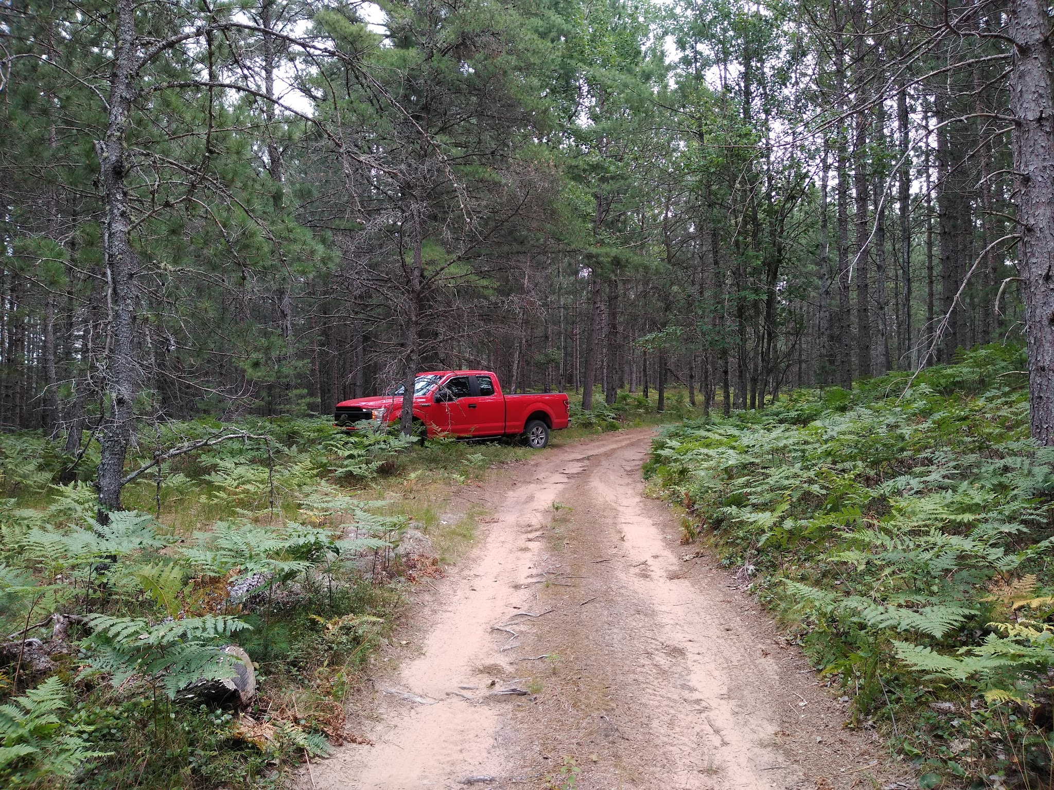 Jackpine Lake Campsites