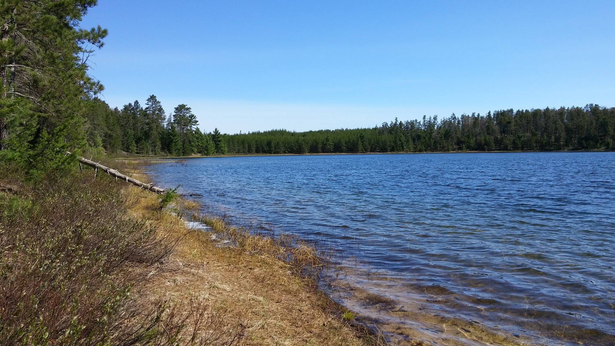 Jackpine Lake Campsites