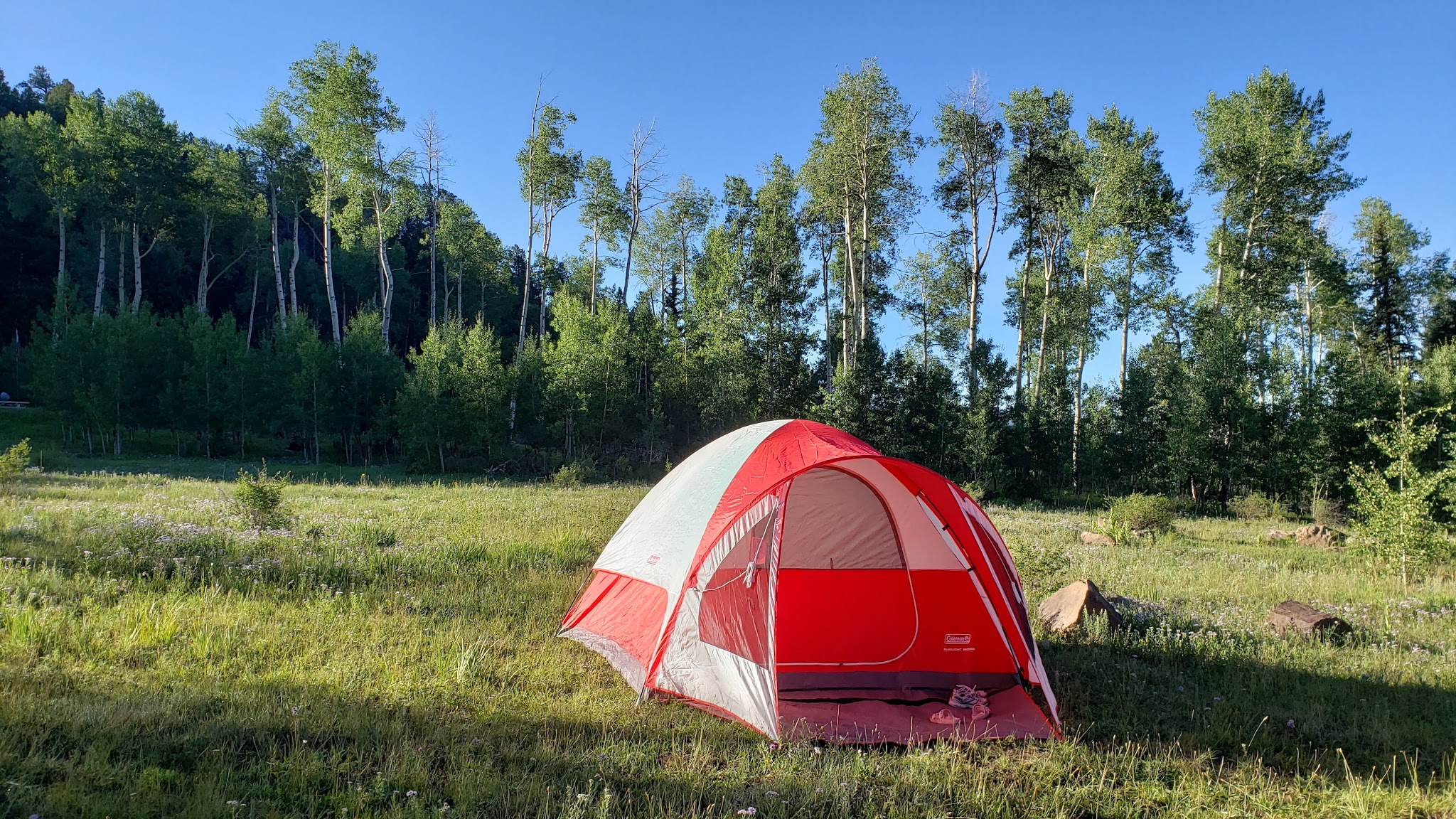 Jacks Creek Group Area