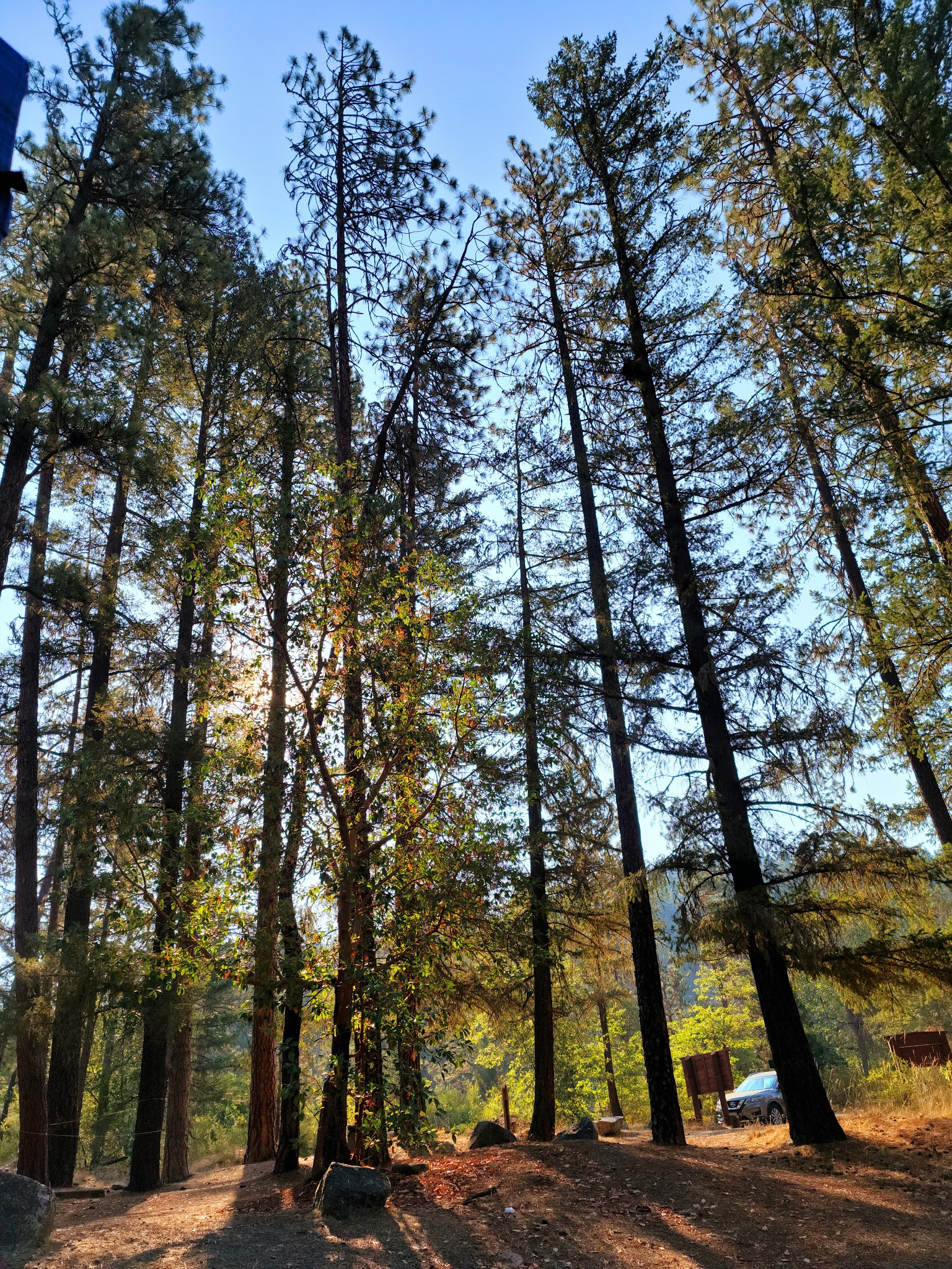Jackson Campground On The Applegate River