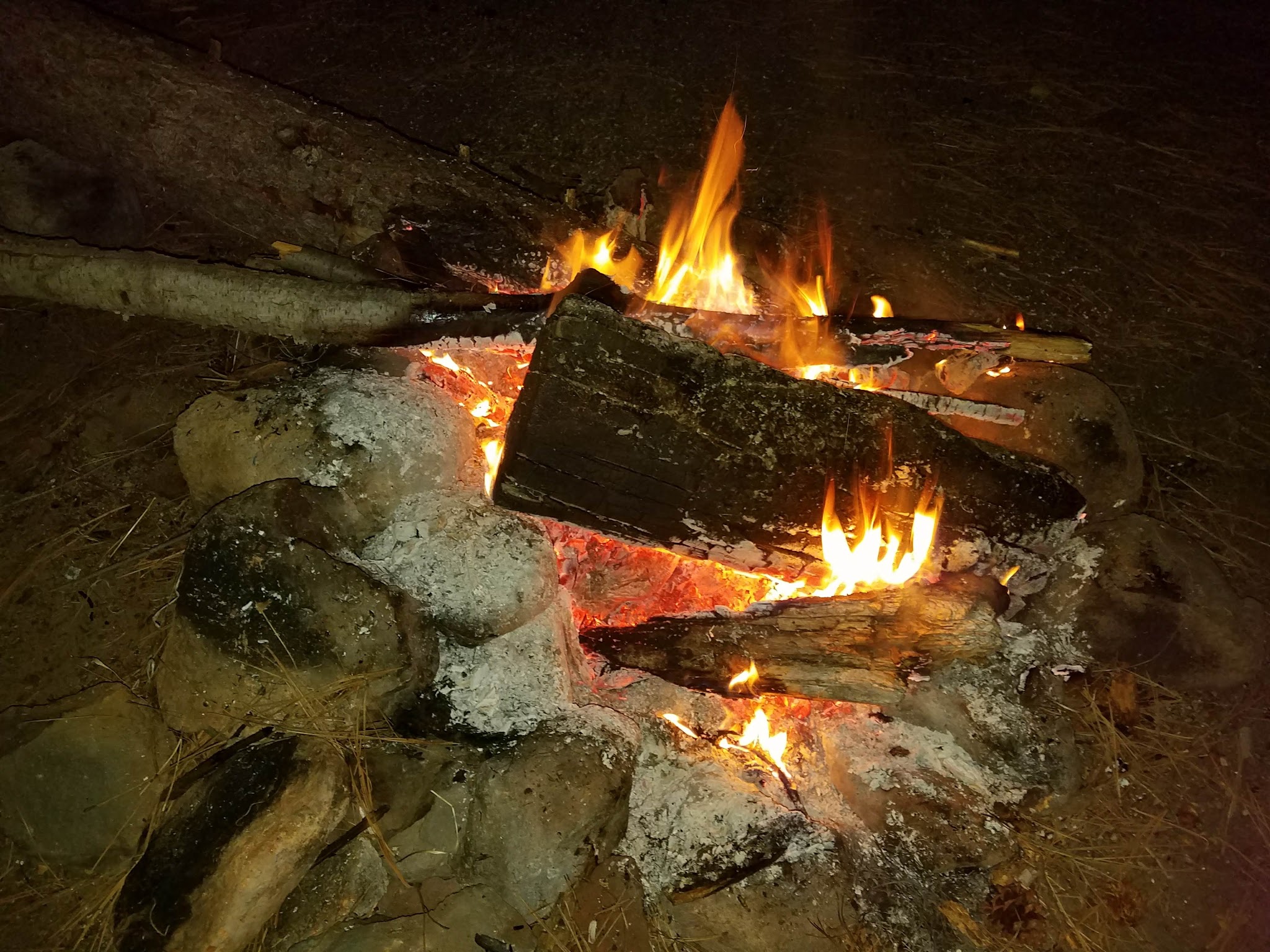 Jackson Creek Campground