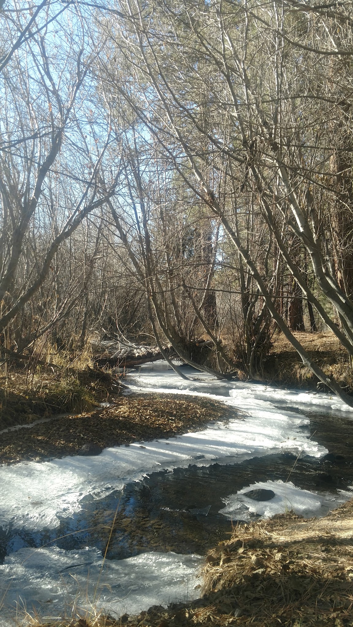 Jackson Creek Campground