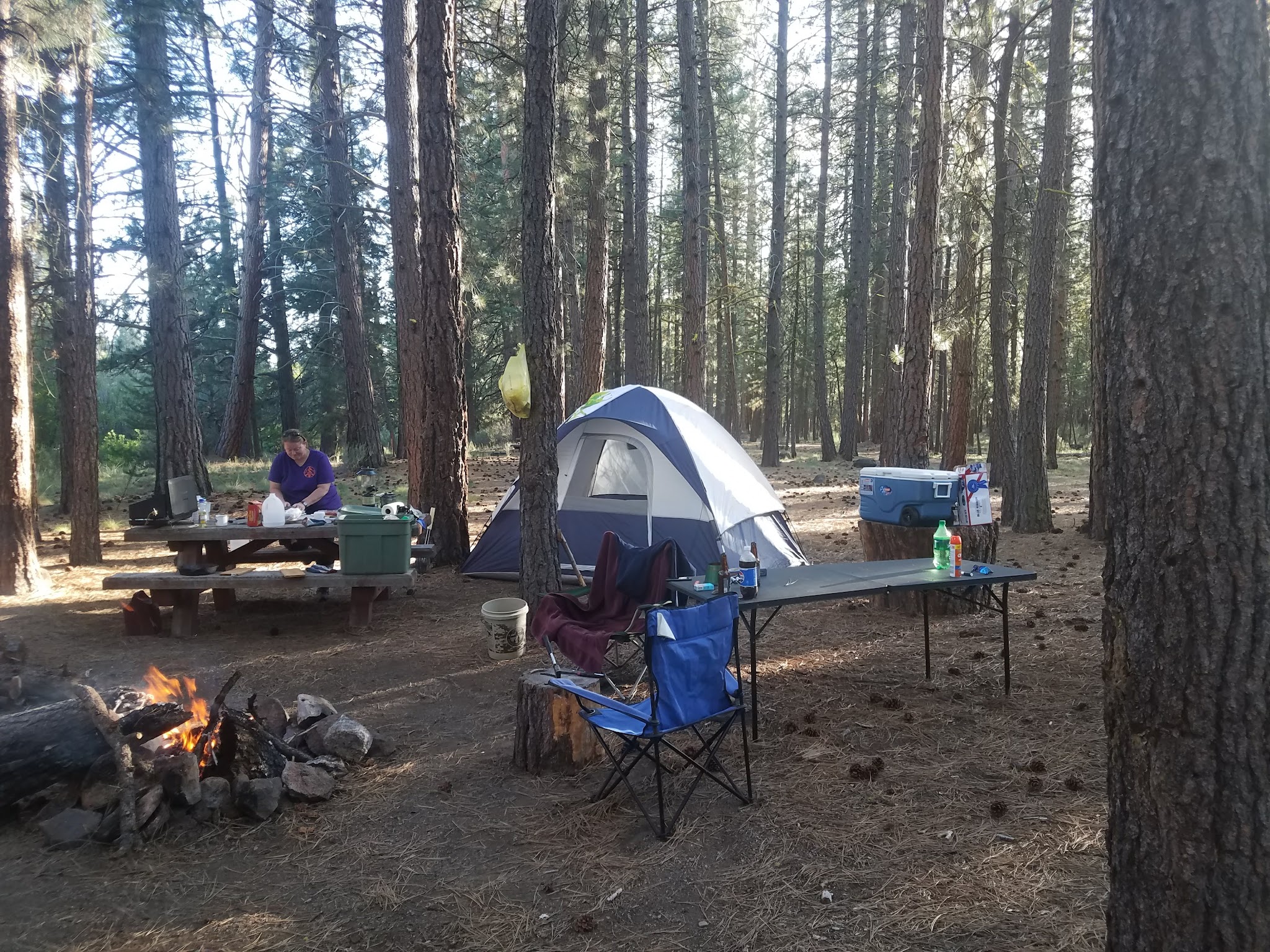 Jackson Creek Campground