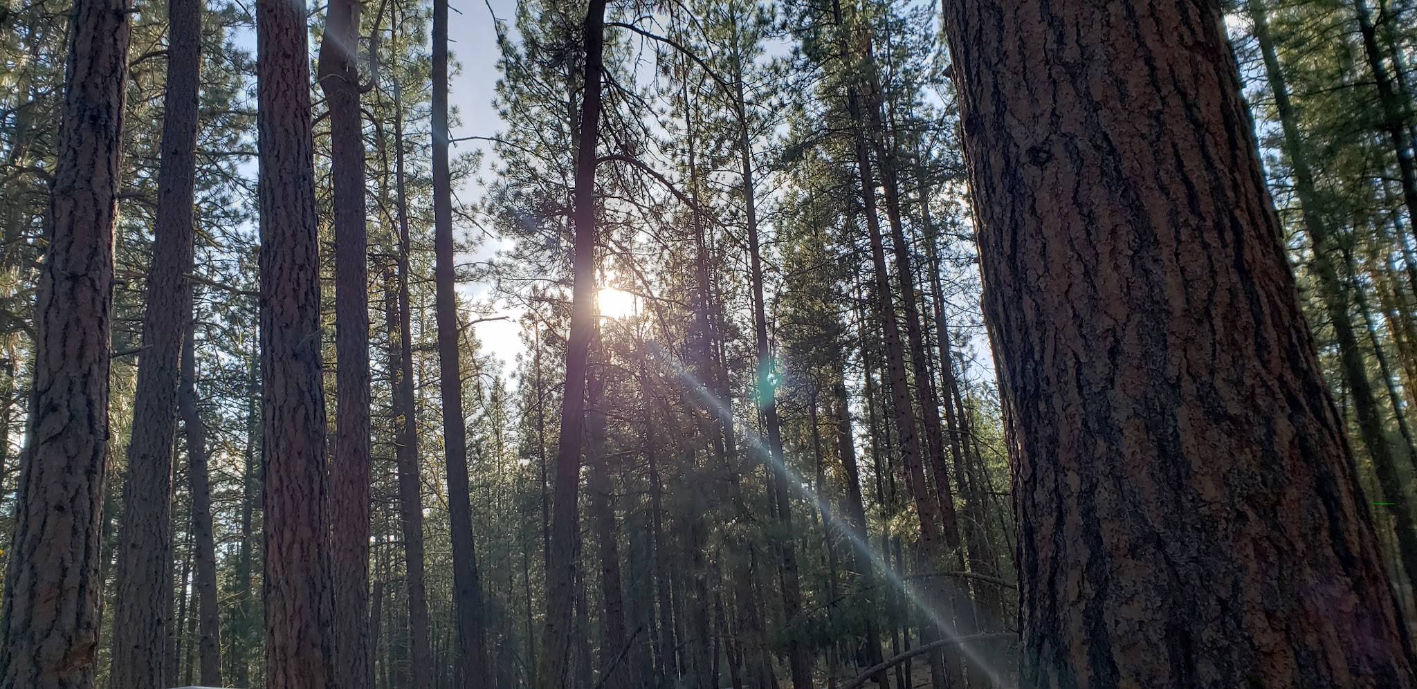 Jackson Creek Campground