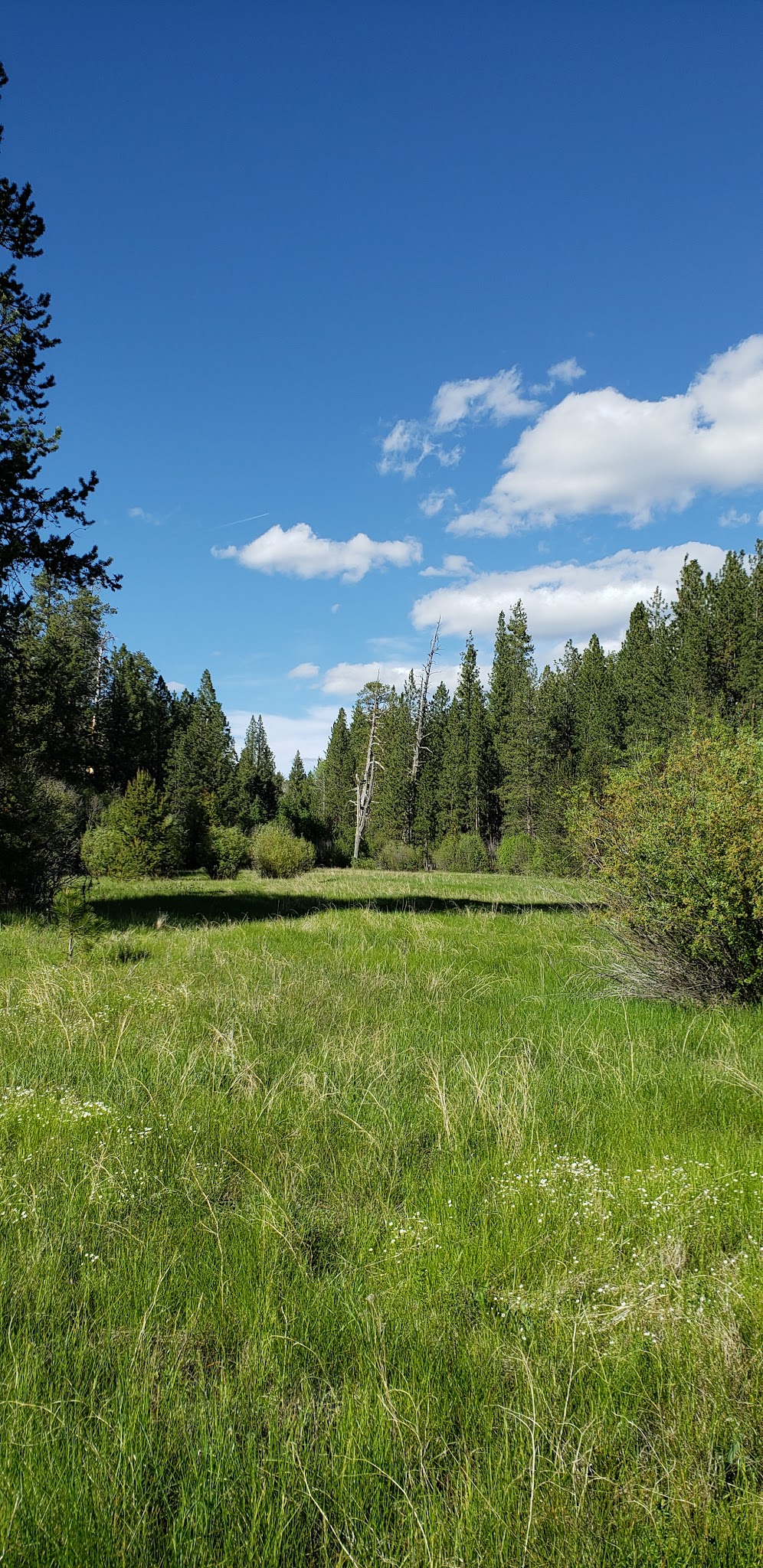Jackson Creek Campground