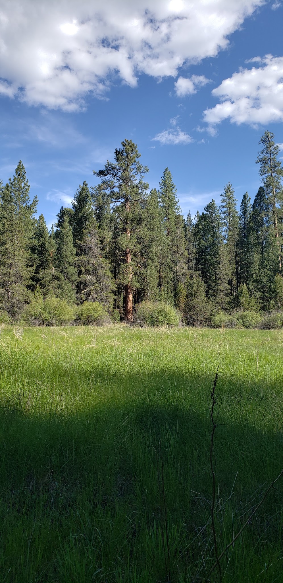 Jackson Creek Campground