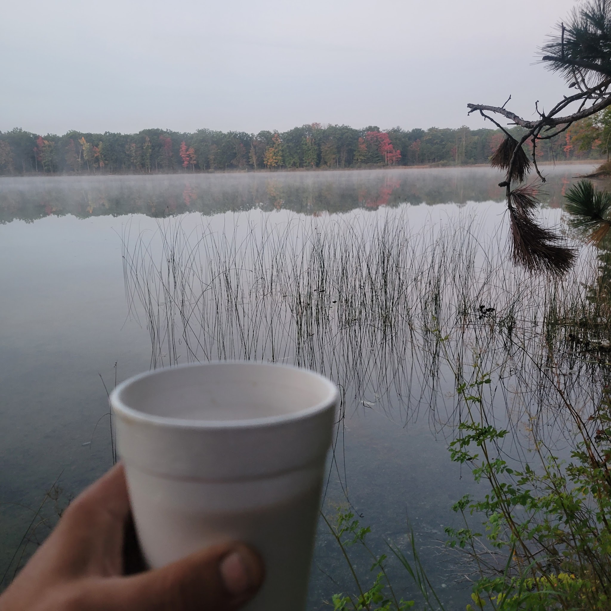 Jackson Lake State Forest Campground