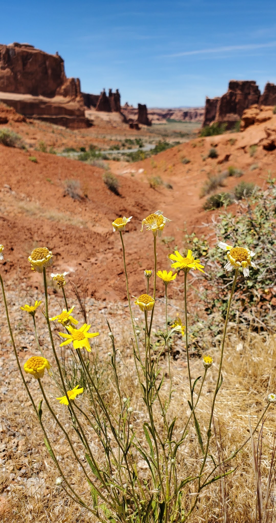 Jacob Lake Recreation Area