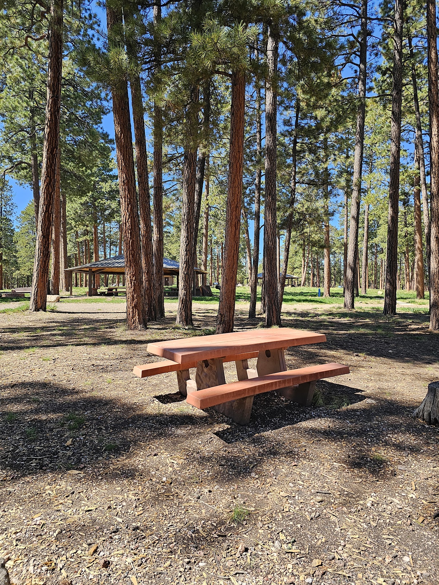 Jacob Lake Group Campground & Picnic Site