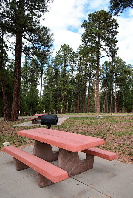 Jacob Lake Group Campground & Picnic Site