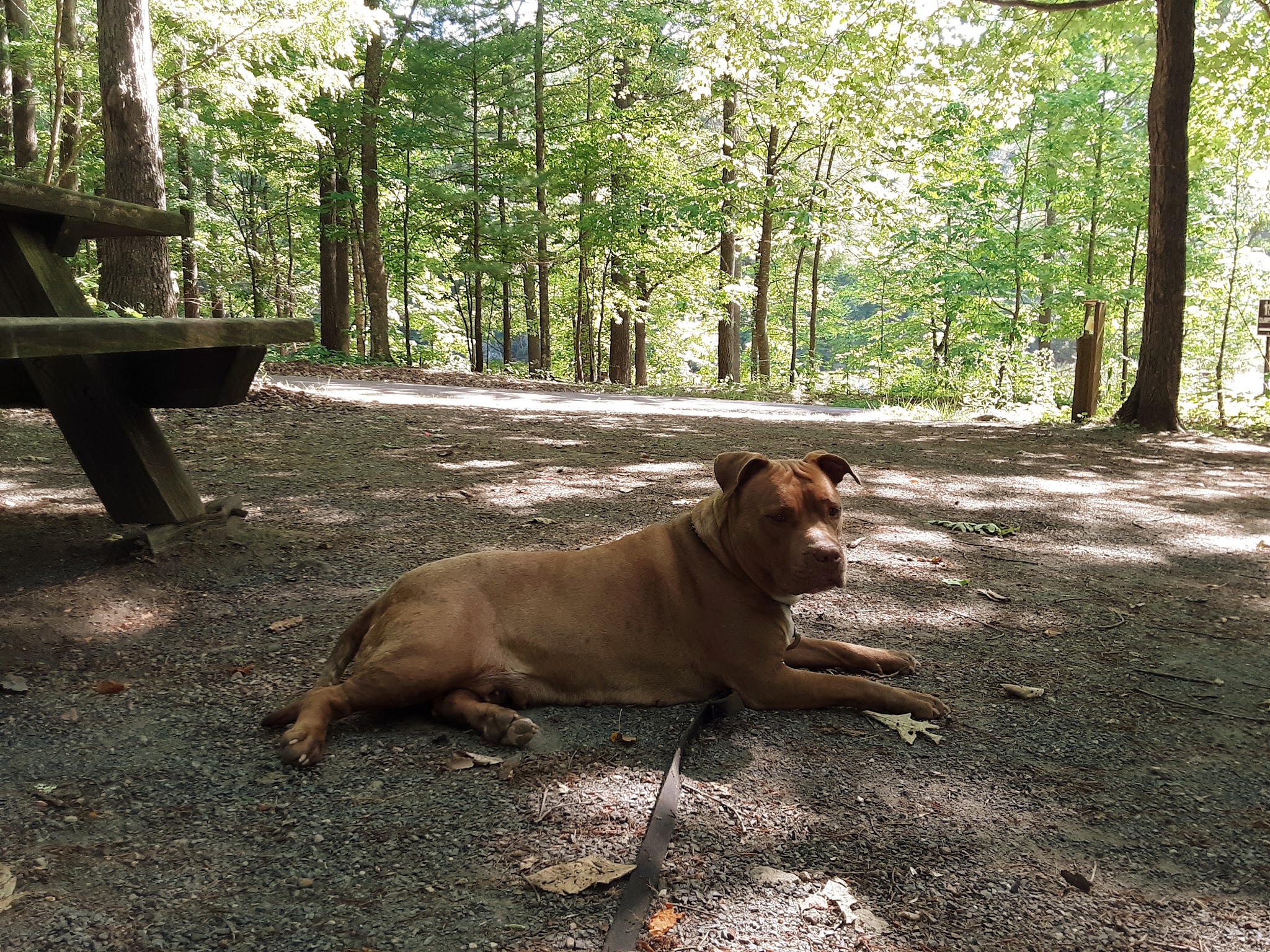 Jacobs Creek Recreation Area