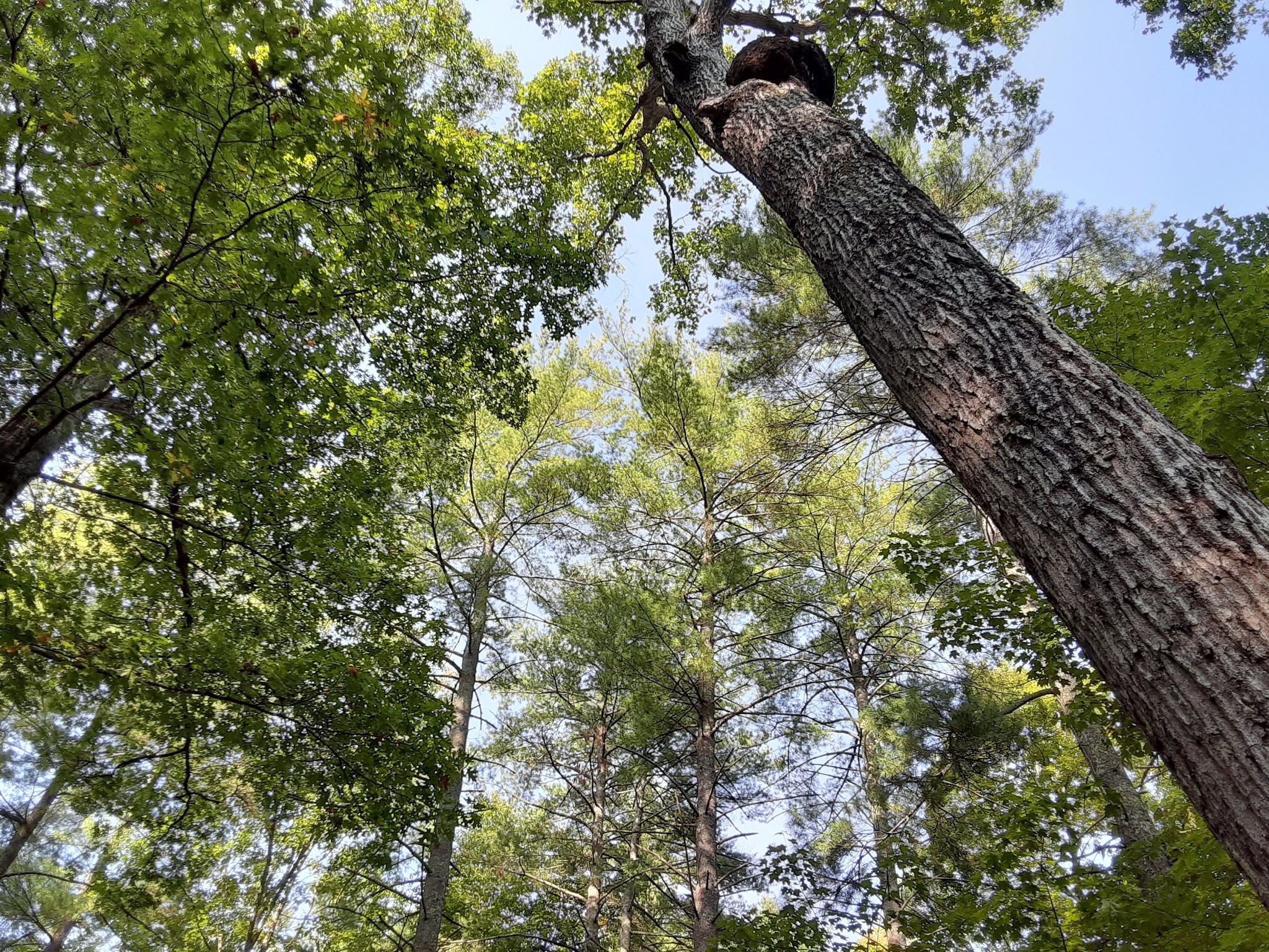 Jacobs Creek Recreation Area