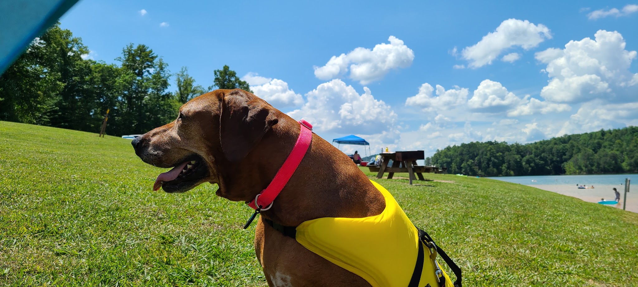 Jacobs Creek Campground (Tn)