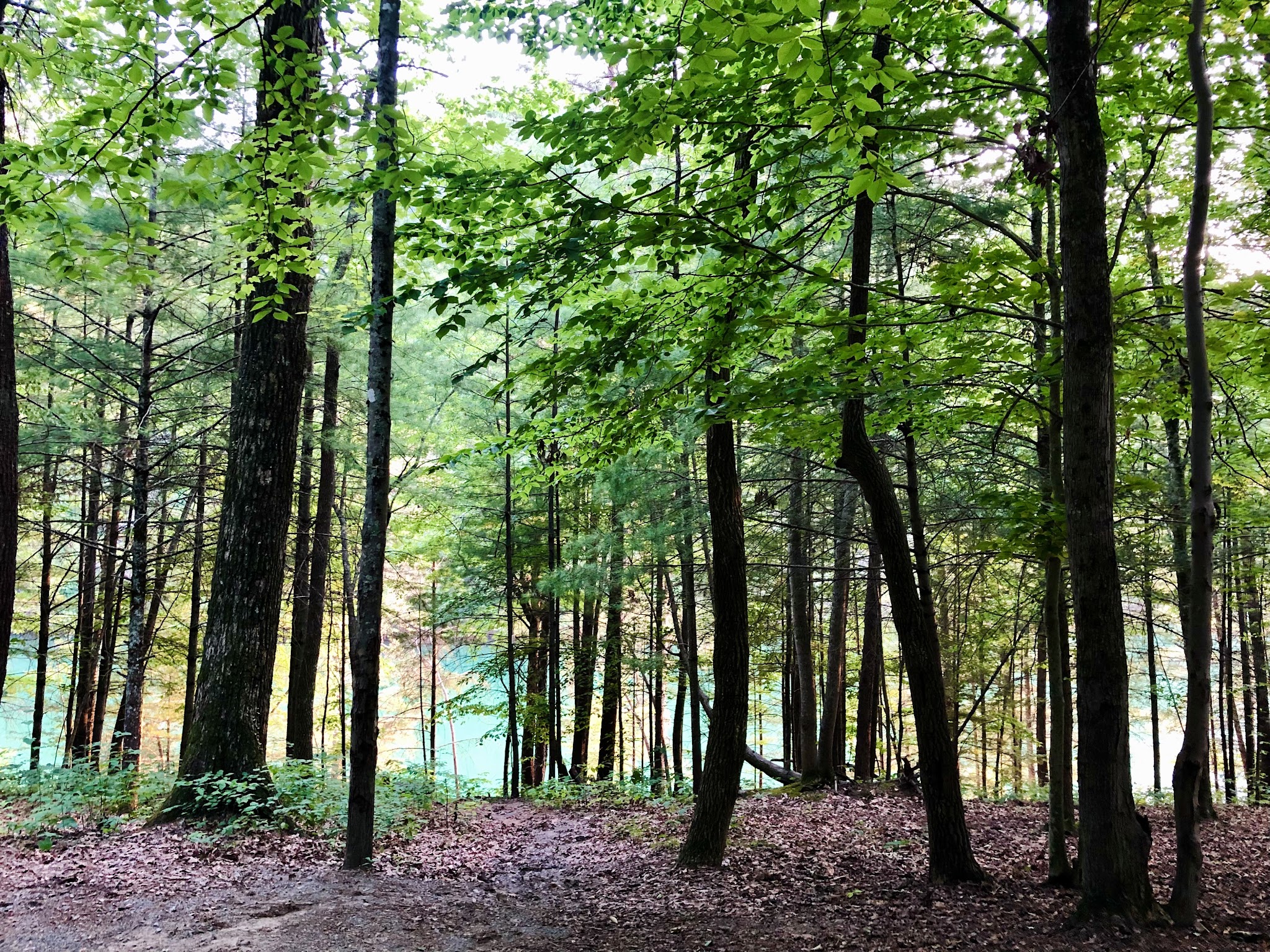 Jacobs Creek Campground (Tn)