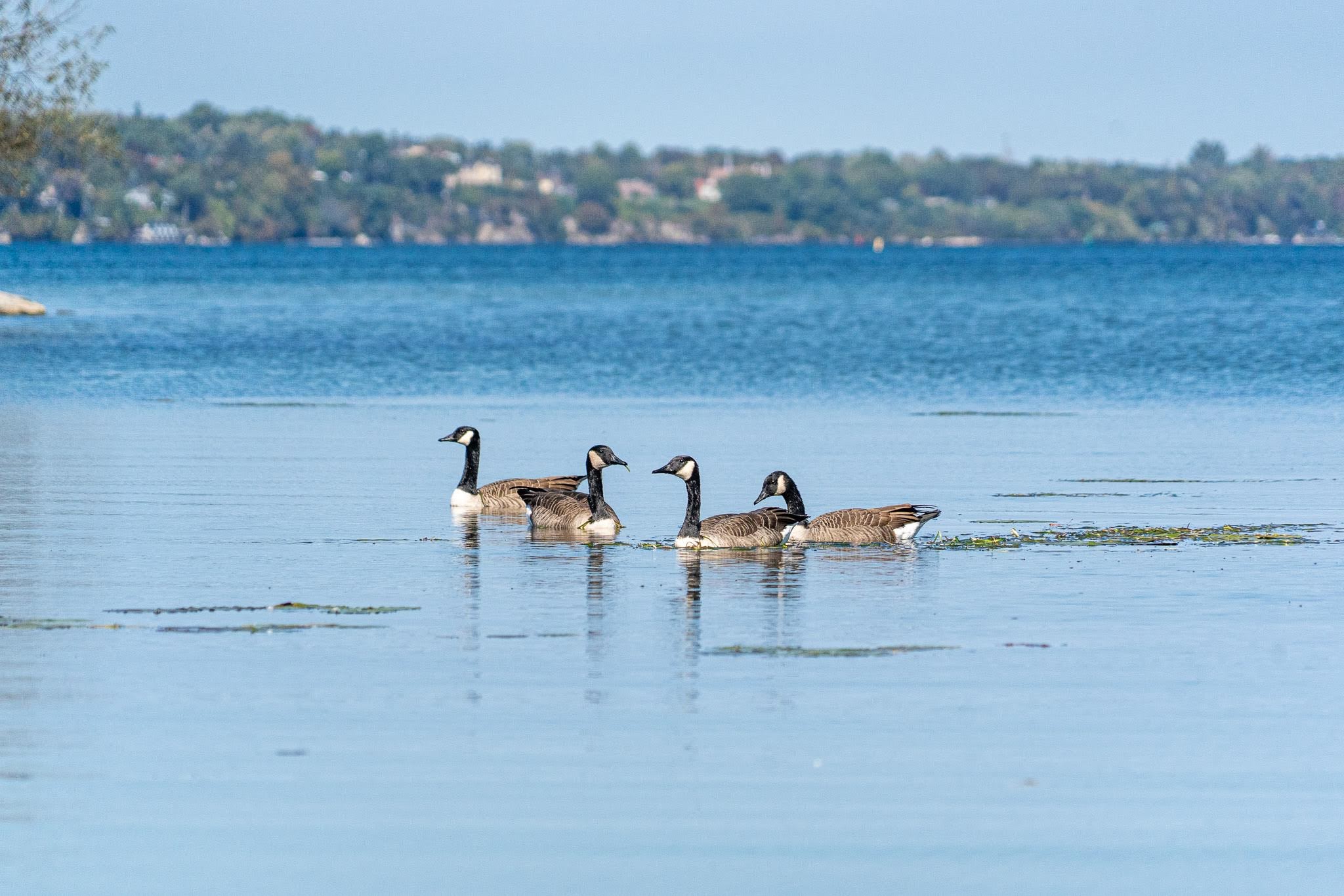 Jacques Cartier State Park