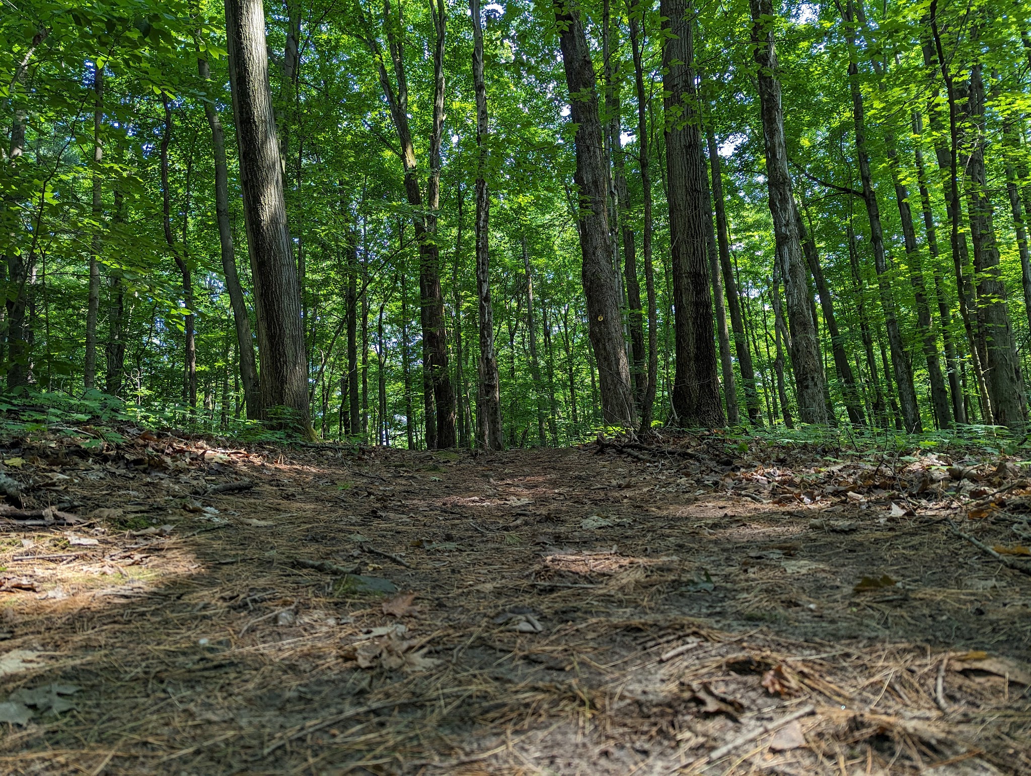 Jacques Cartier State Park