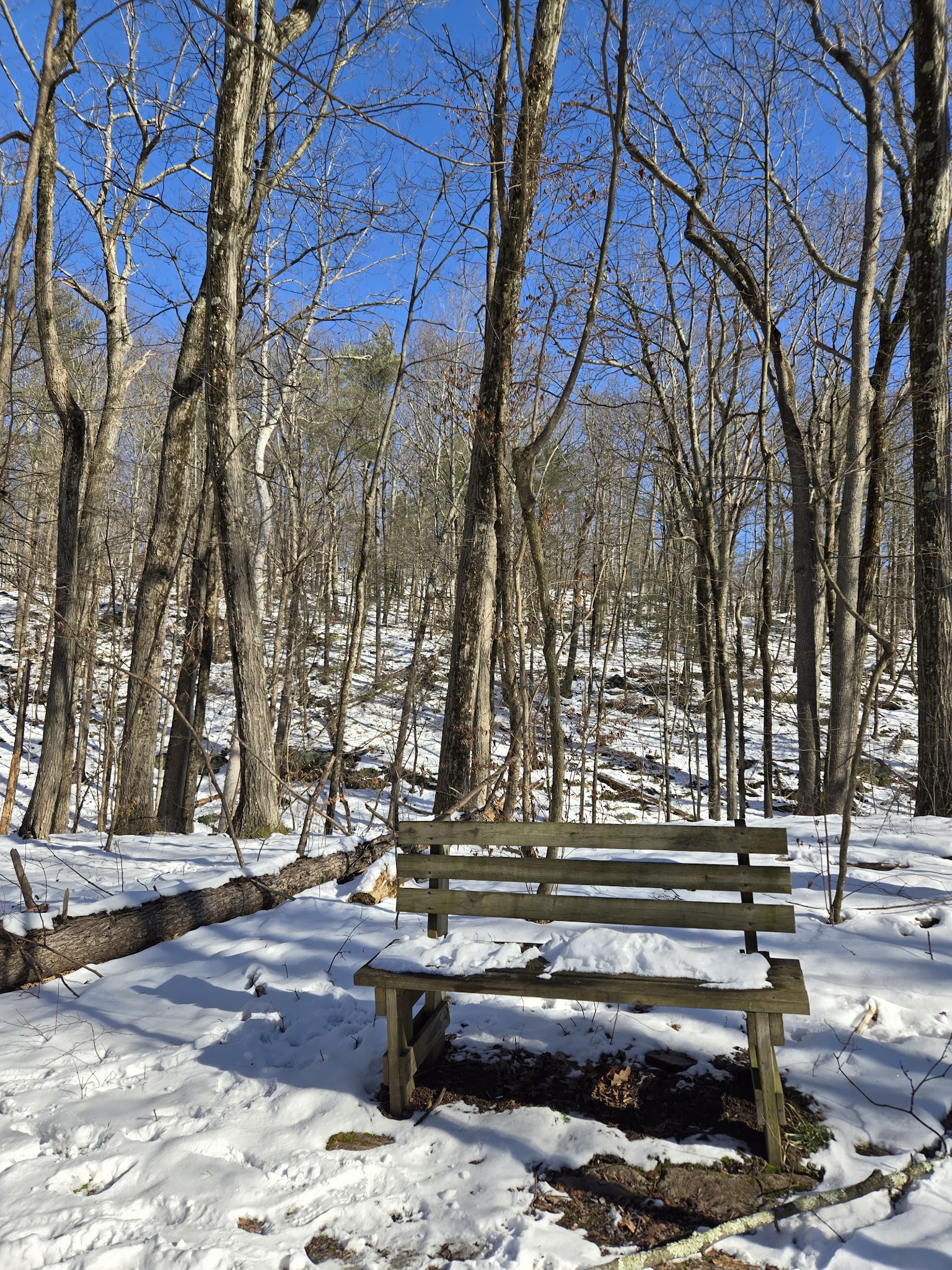 James Baird State Park