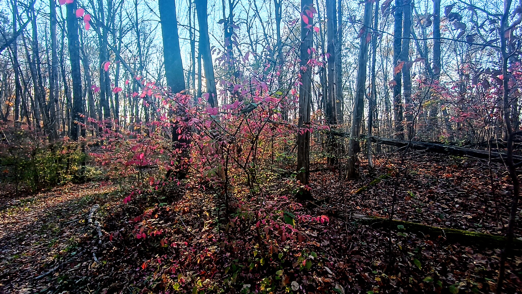 James Baird State Park