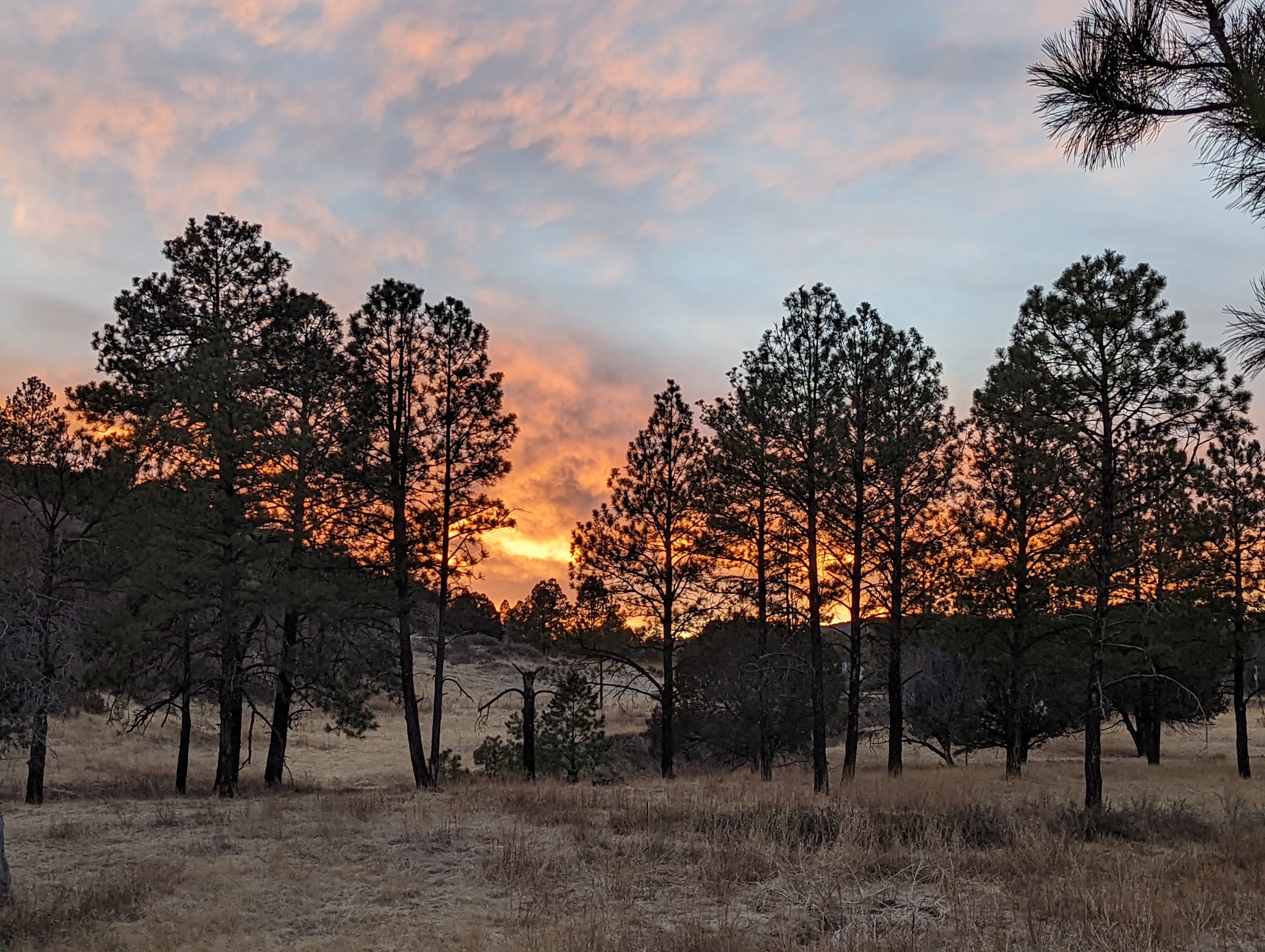 James Canyon Campground