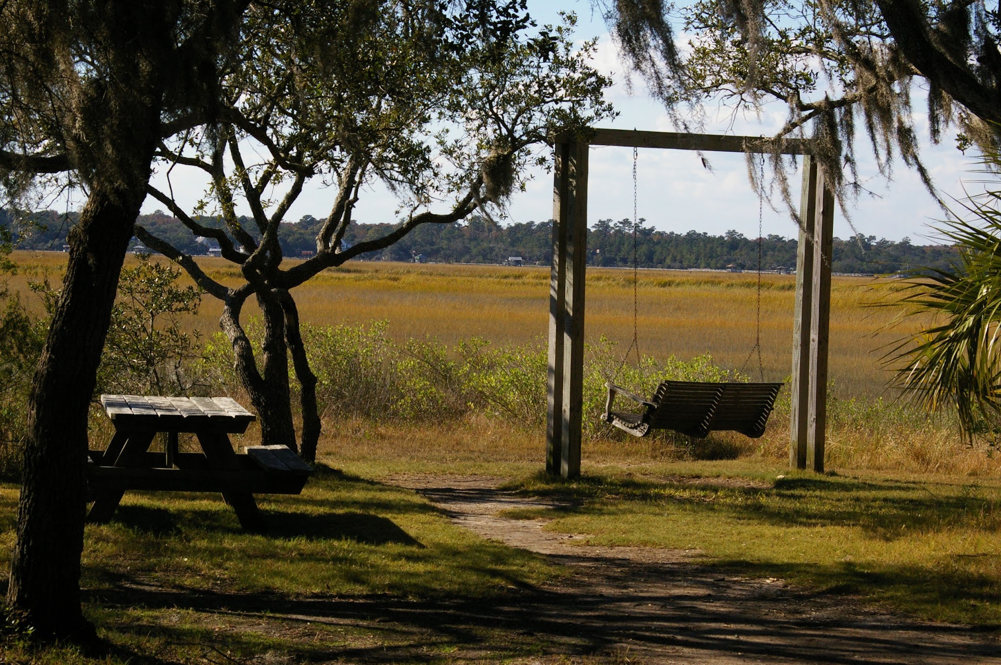 The Campground At James Island County Park