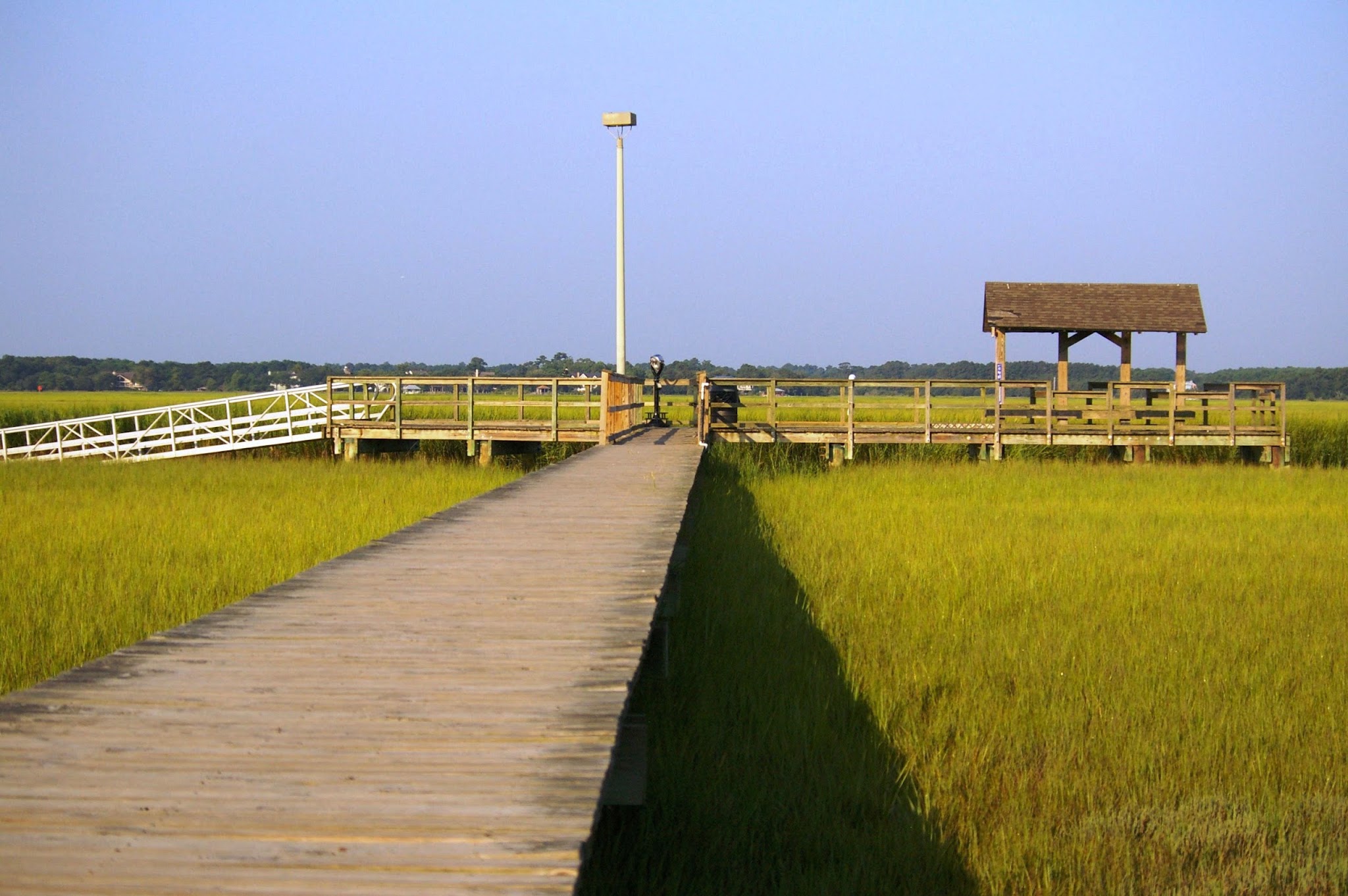 The Campground At James Island County Park