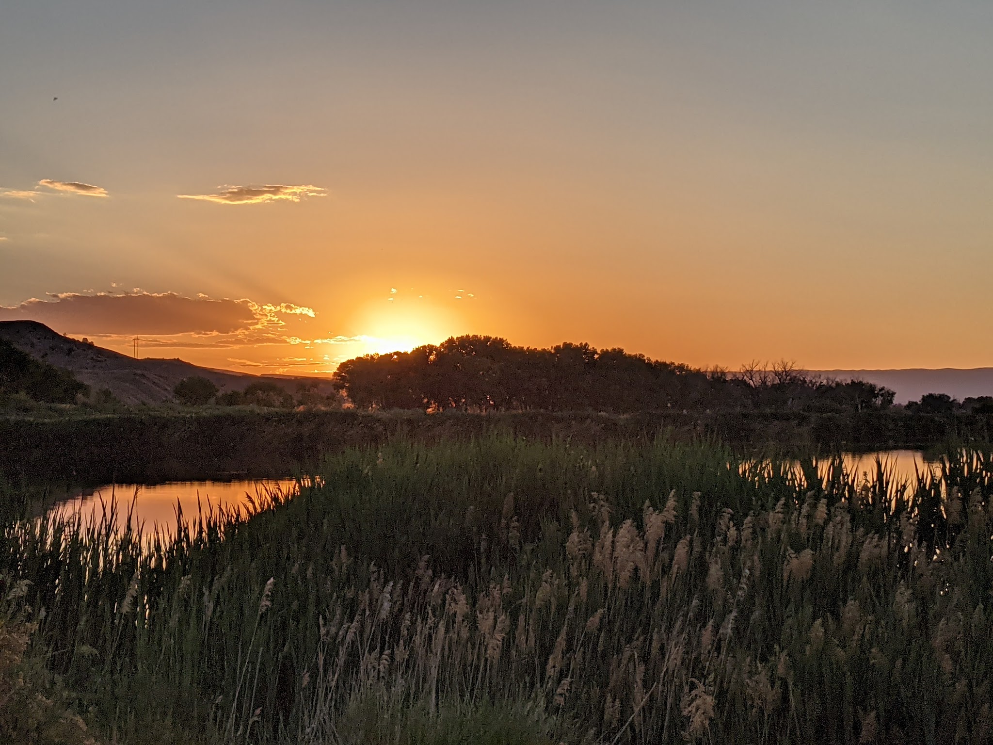 James M Robb-Colorado River State Park-Fruita Section