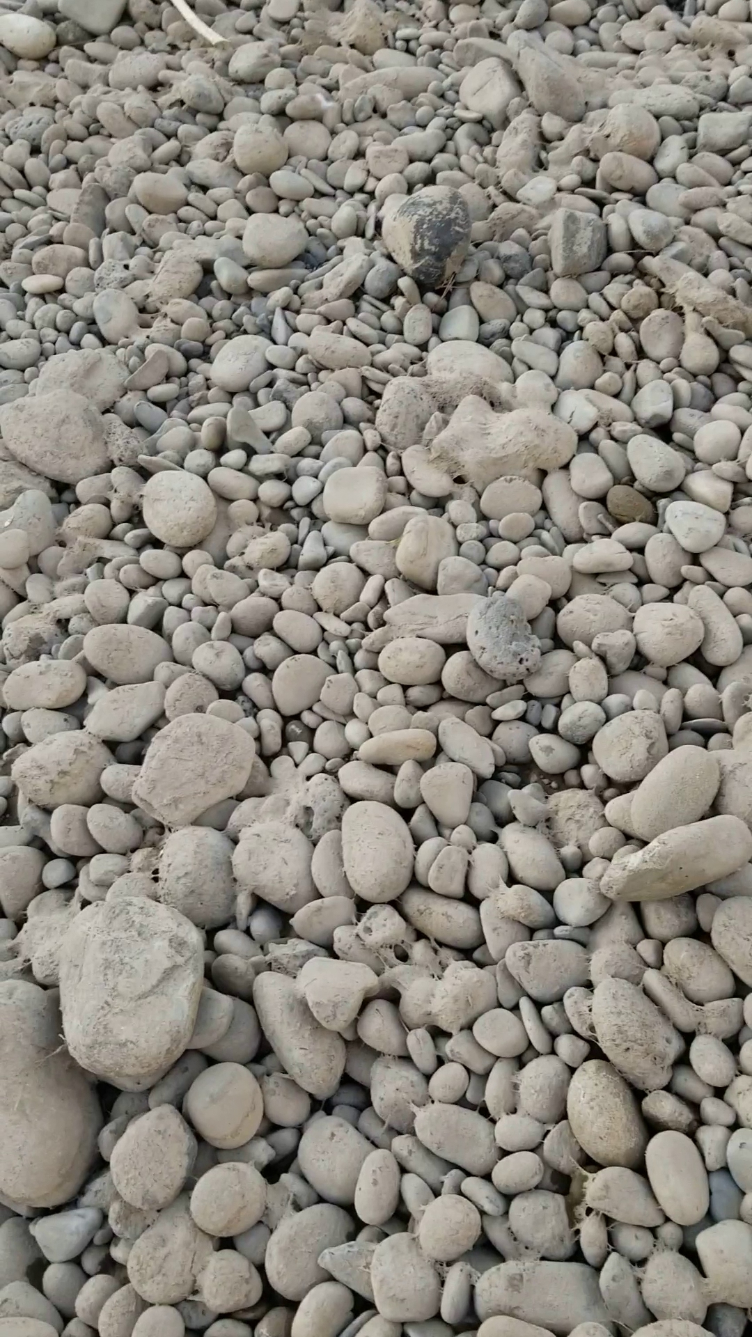 James M Robb-Colorado River State Park-Island Acres Section