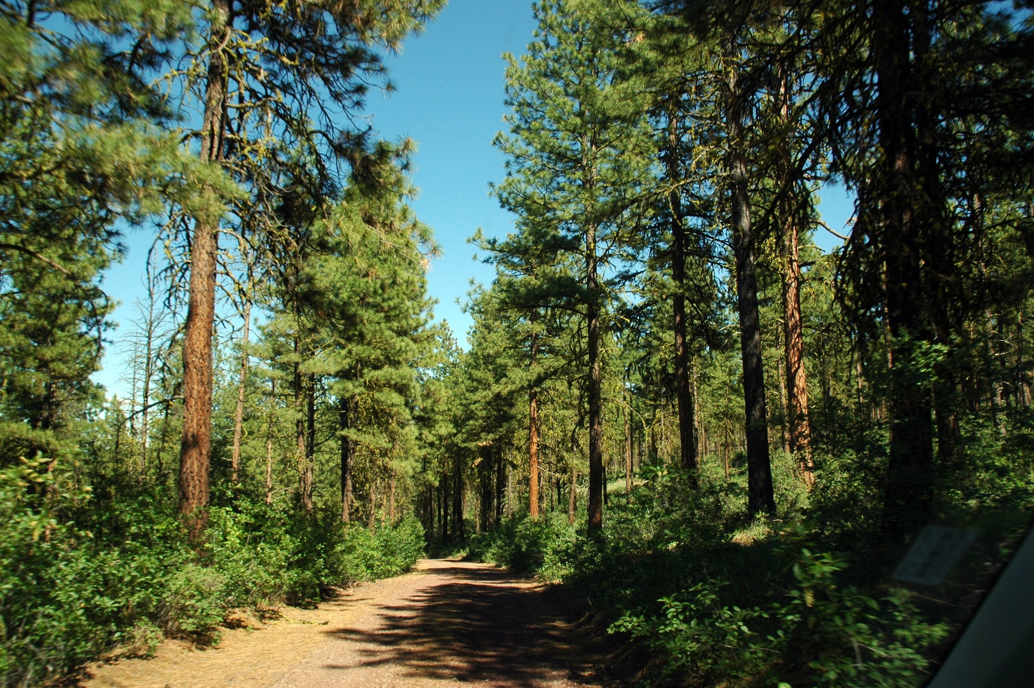Jane'S Reservoir Campground