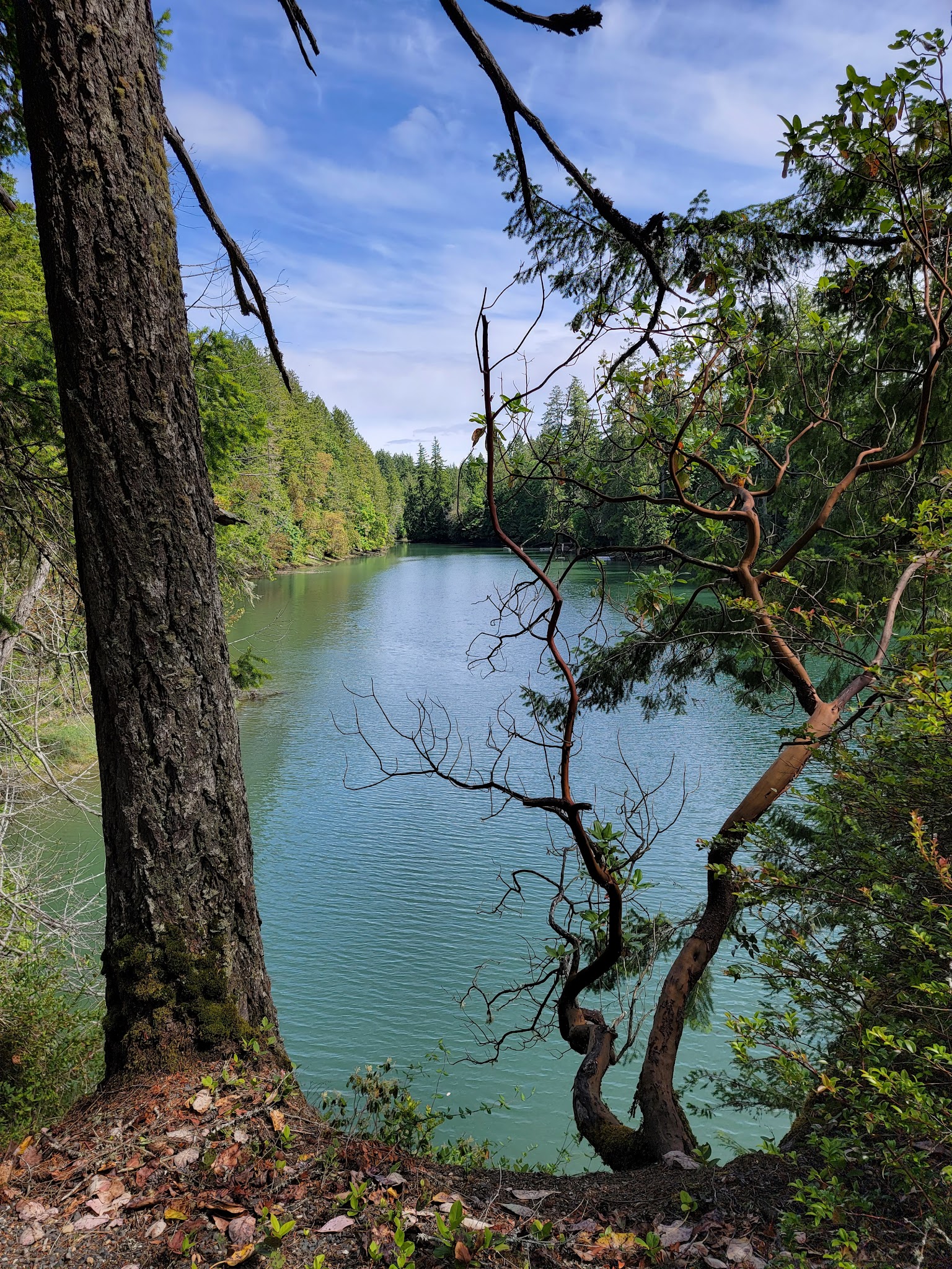 Jarrell Cove State Park