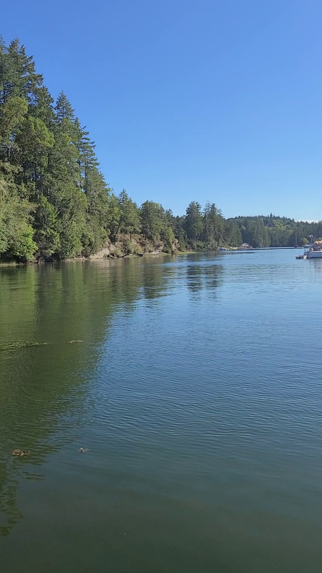 Jarrell Cove State Park