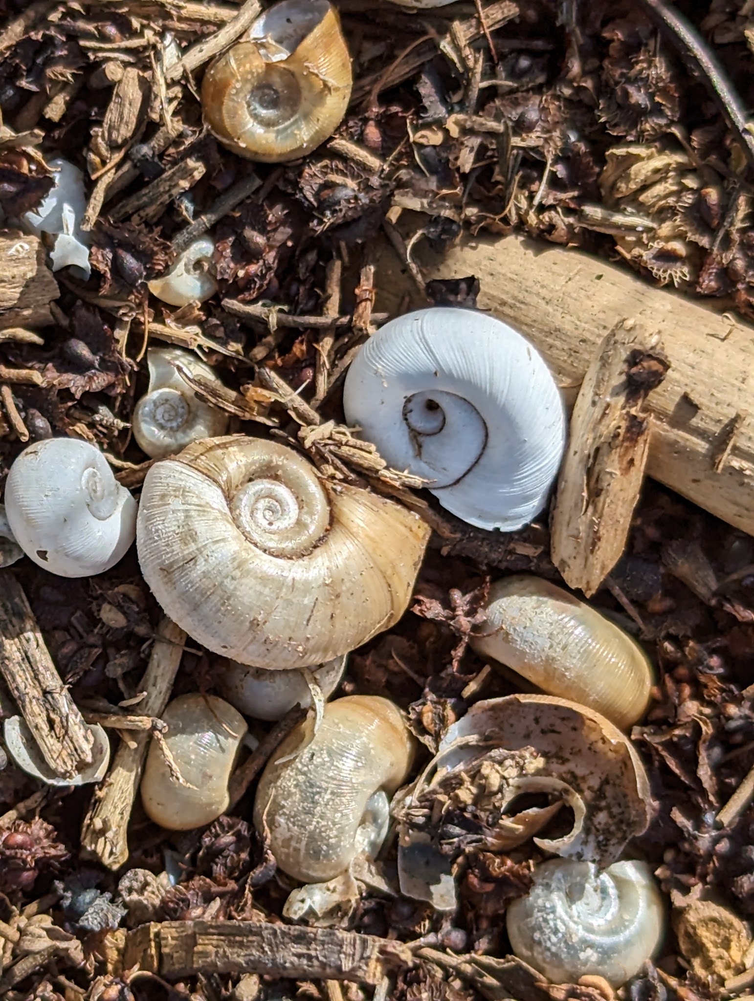 Jasper Point State Park