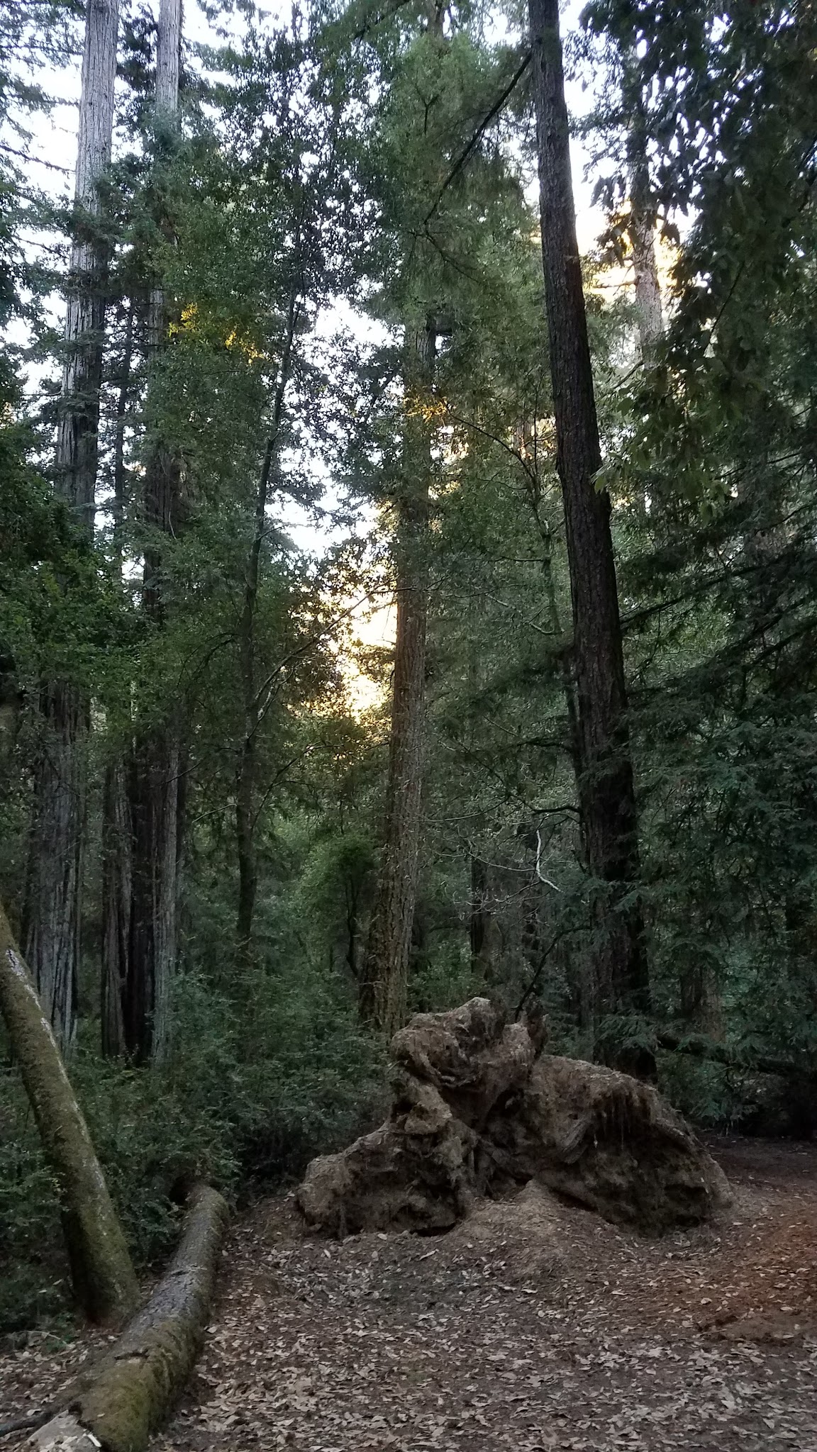 Jay Trail Campground