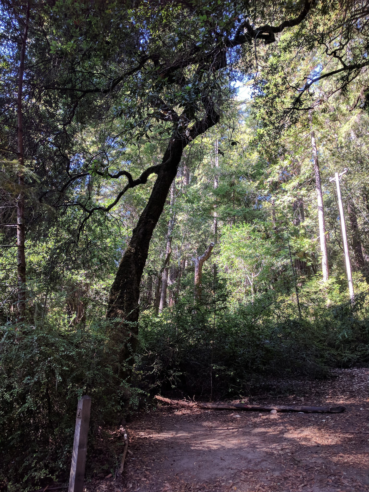 Jay Trail Campground