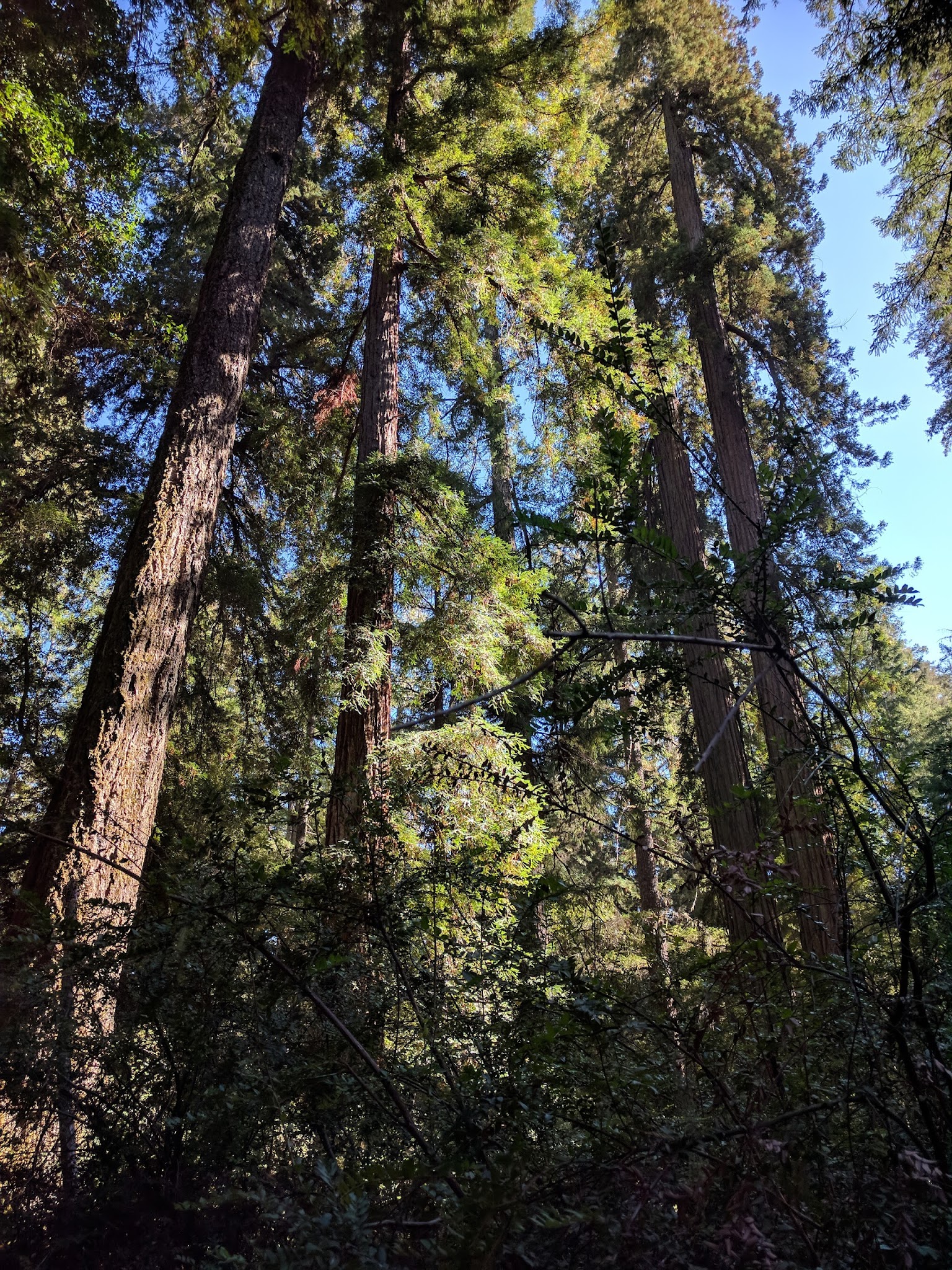 Jay Trail Campground