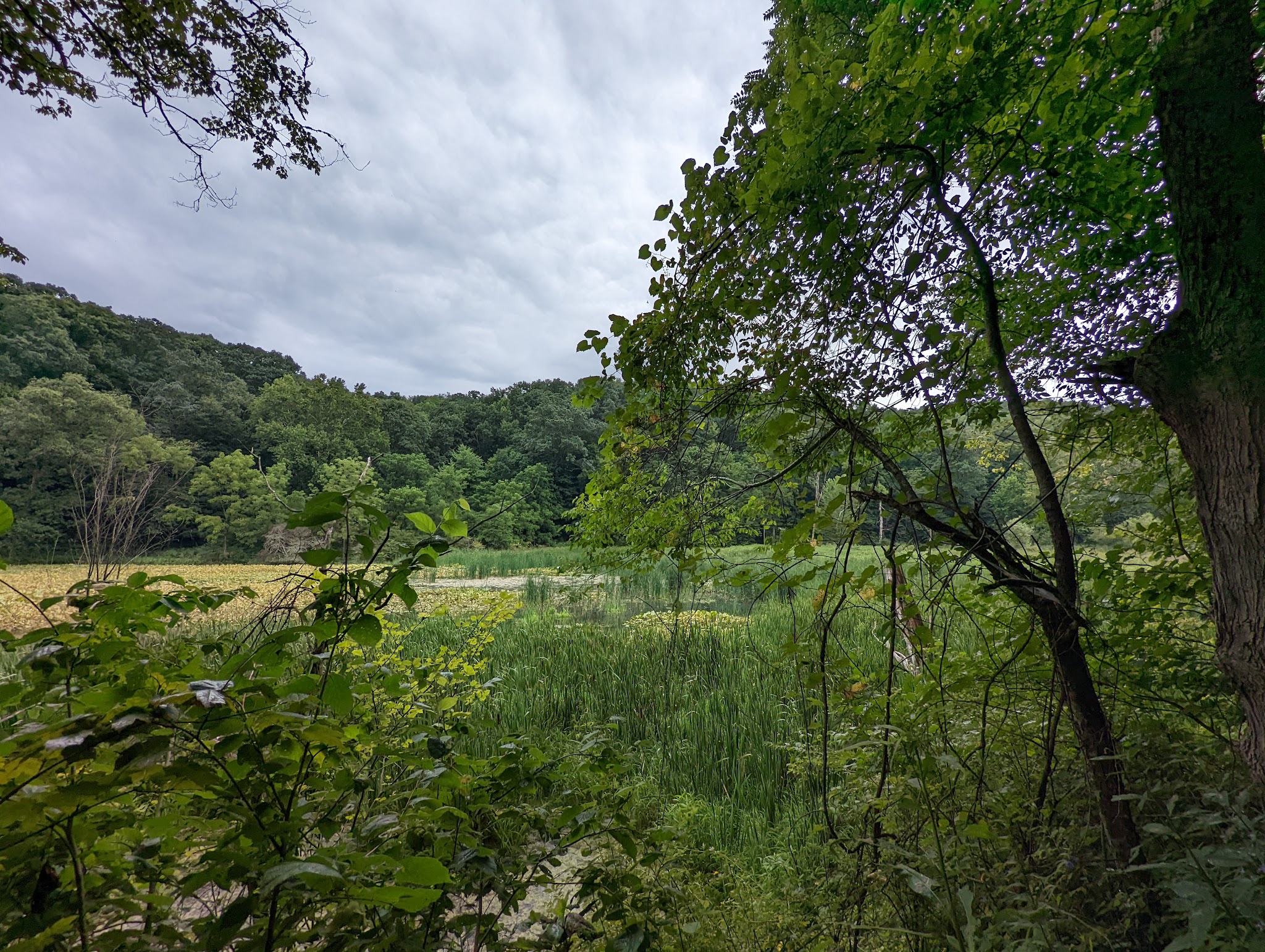Jefferson Lake Campground