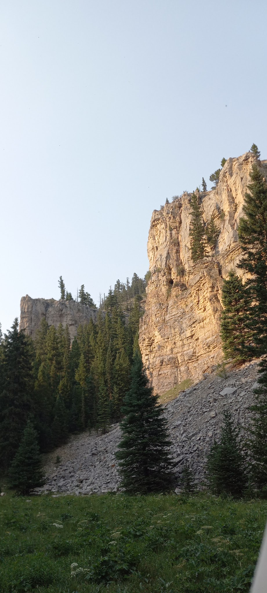 Jellison Place Campground