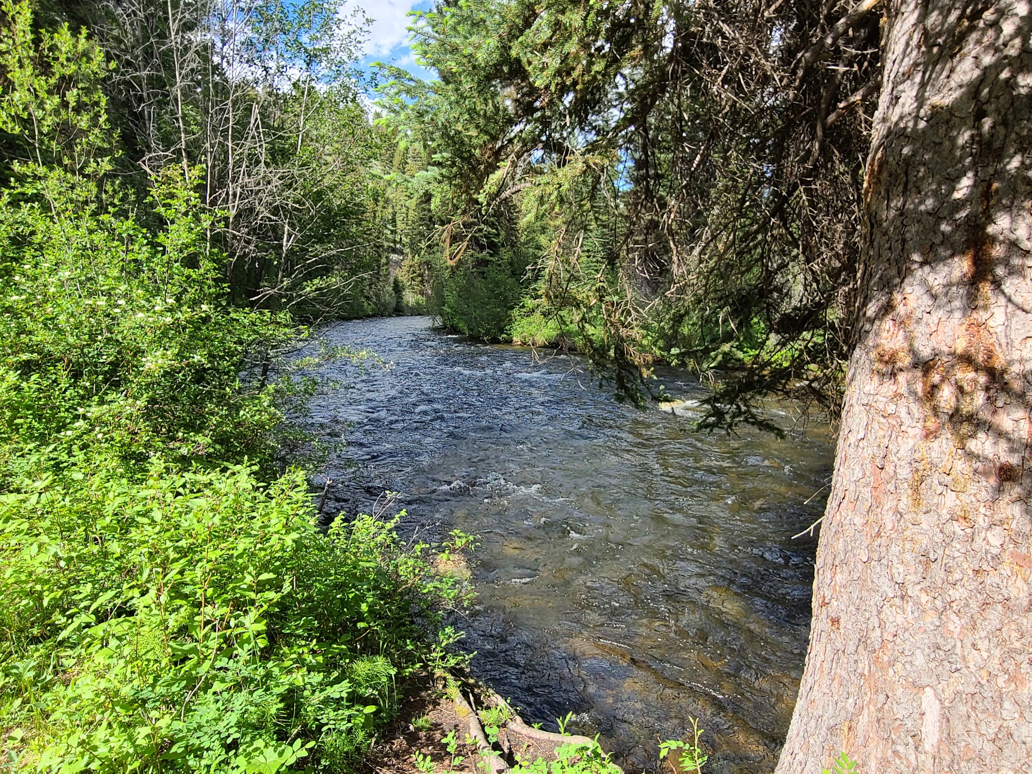 Jennings Camp Campground