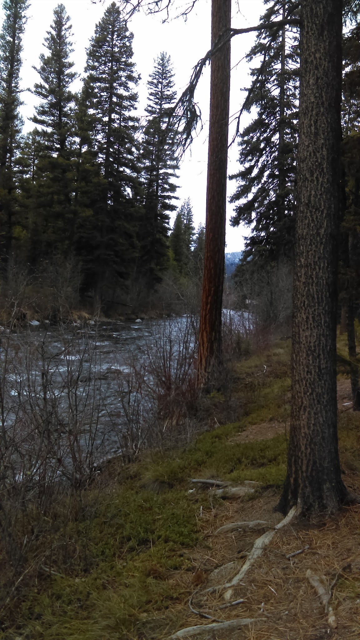 Jennings Camp Campground