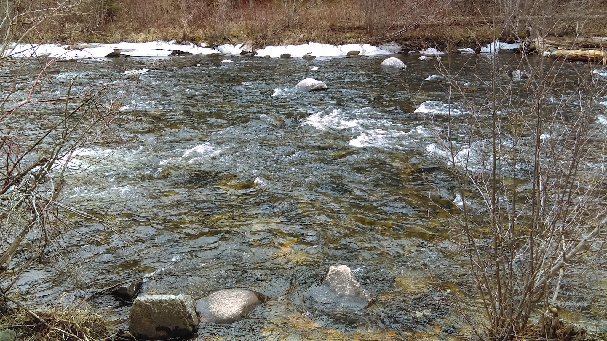 Jennings Camp Campground