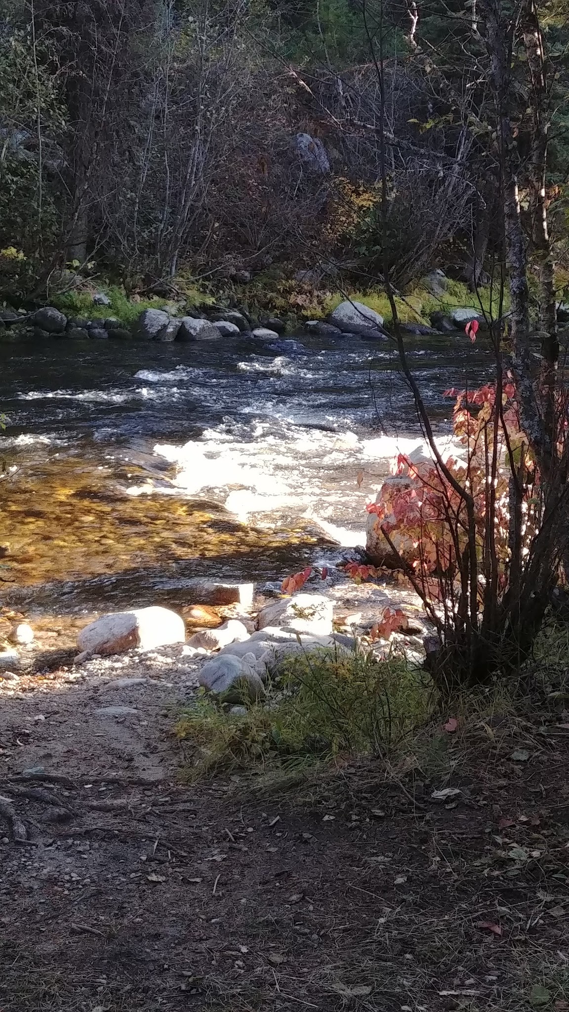 Jennings Camp Campground