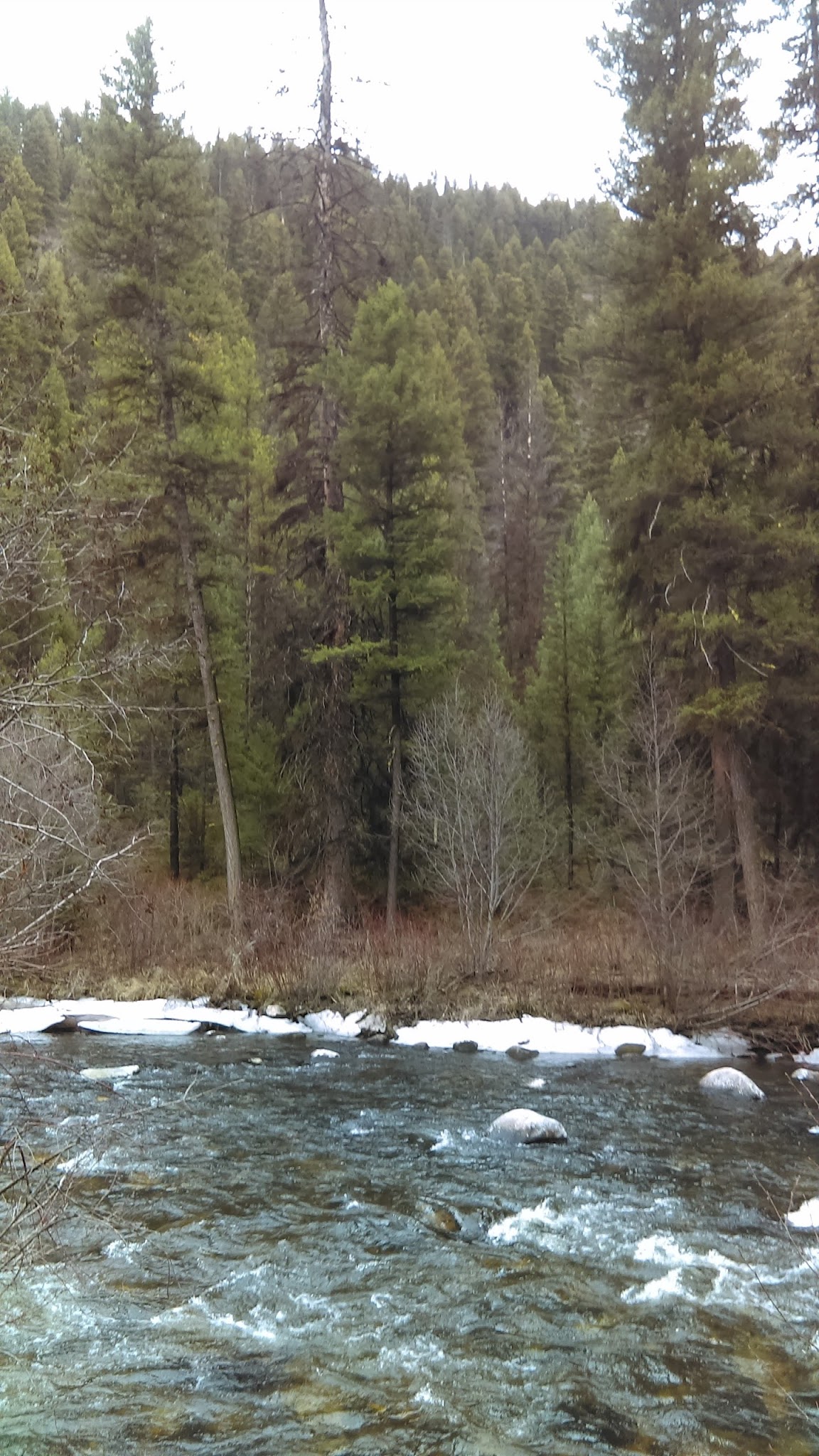 Jennings Camp Campground