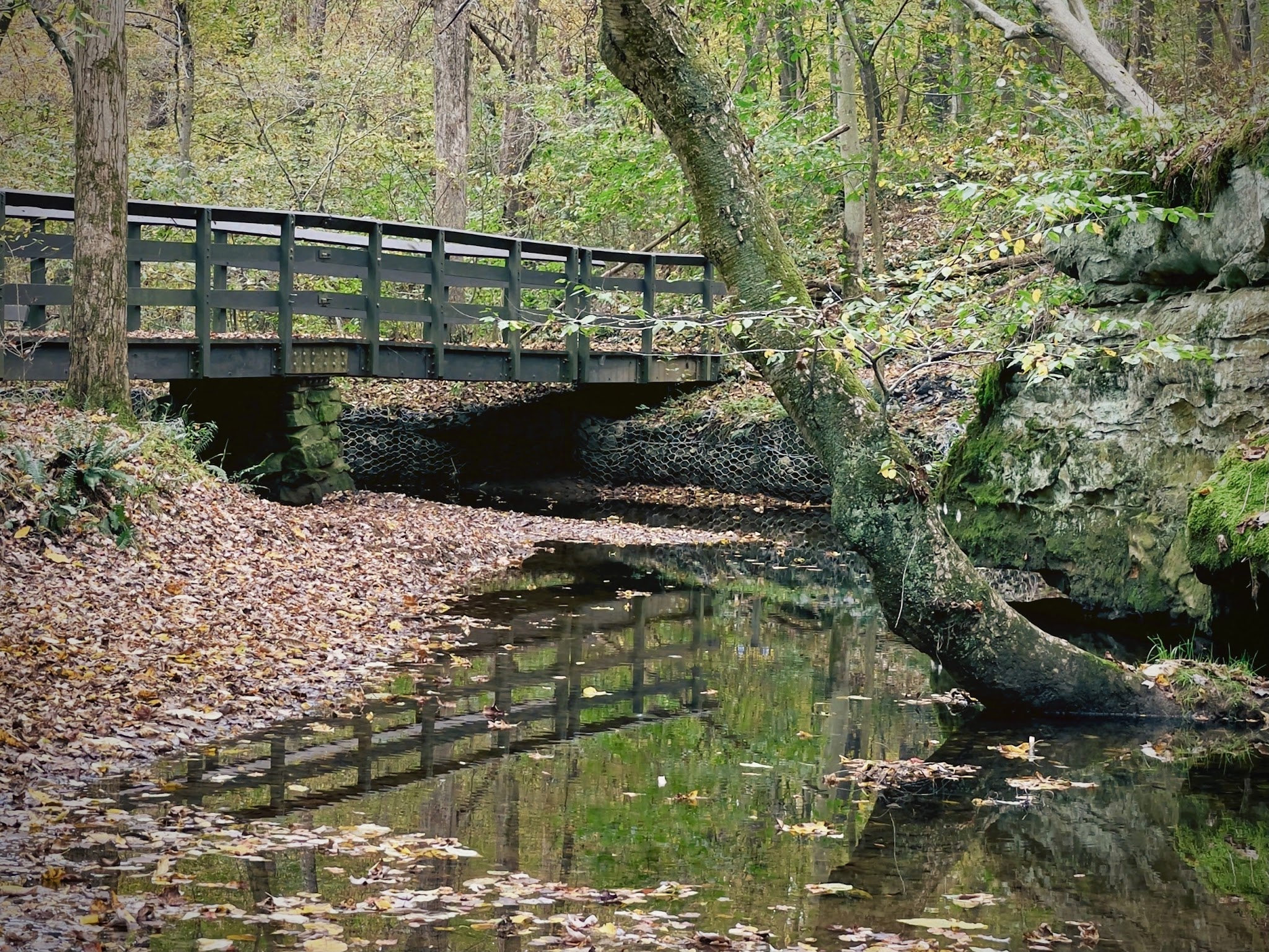 Jennings Environmental Education Center