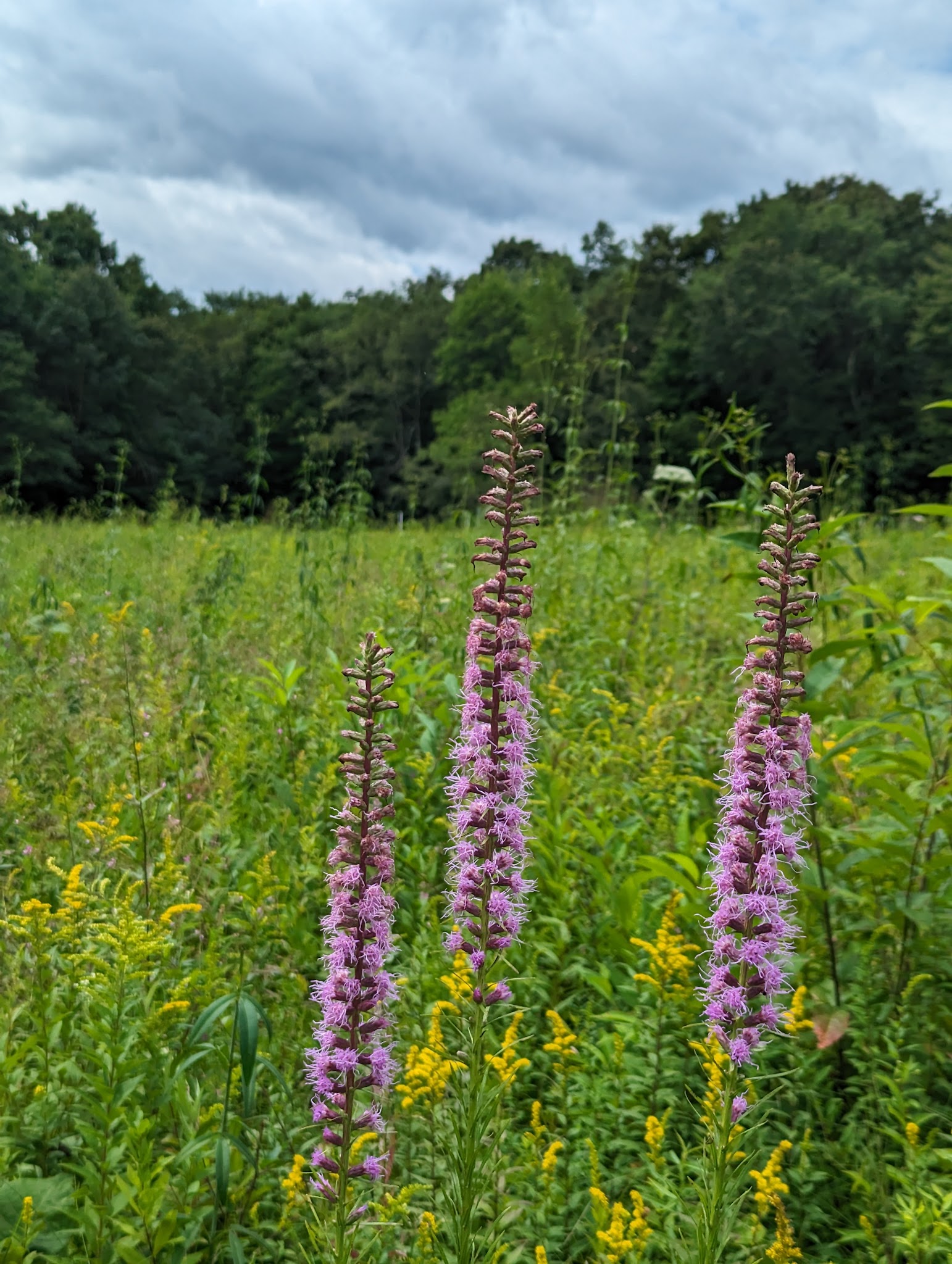 Jennings Environmental Education Center