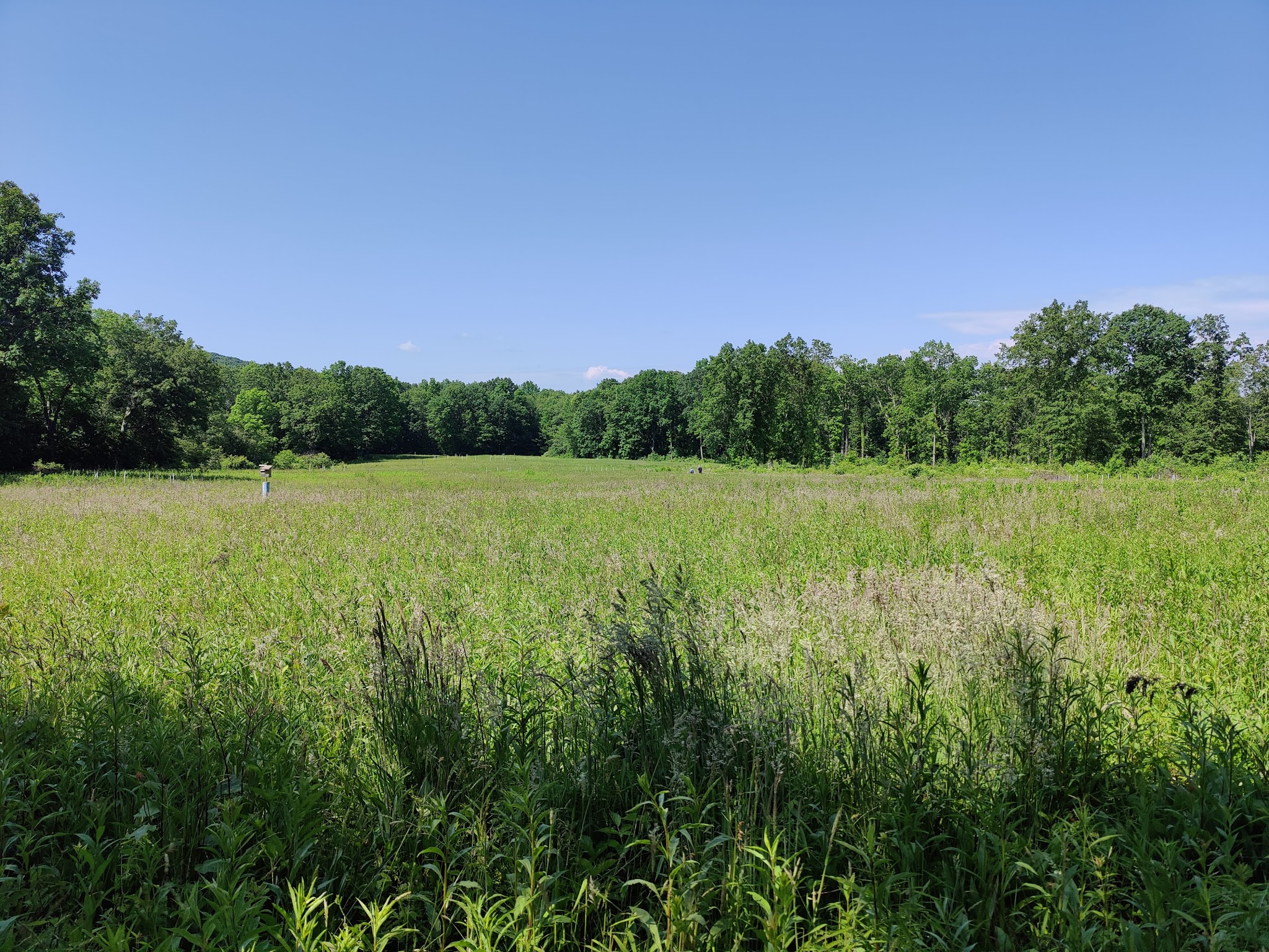 Jennings Environmental Education Center